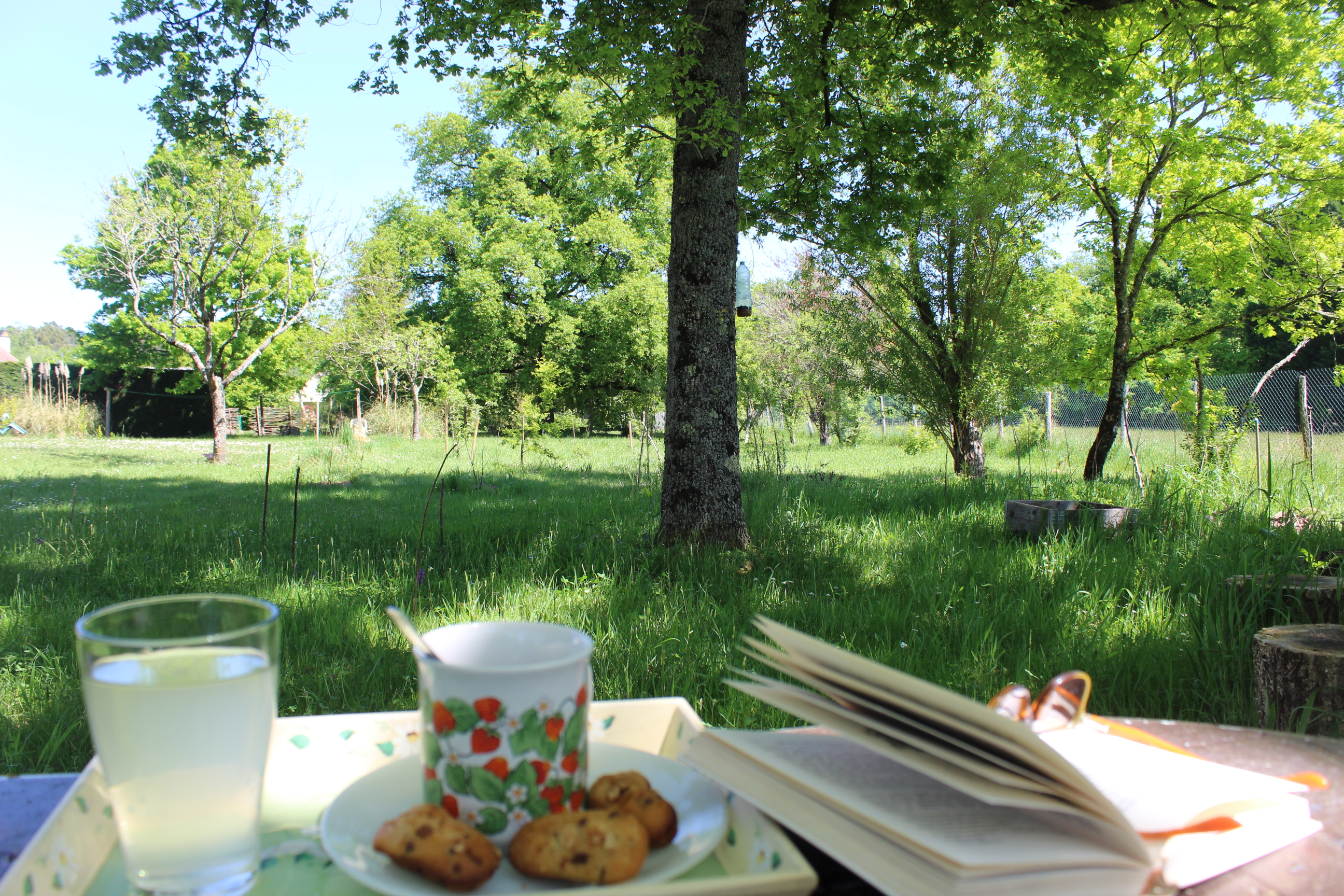 Auprès de mon arbre - photo 2