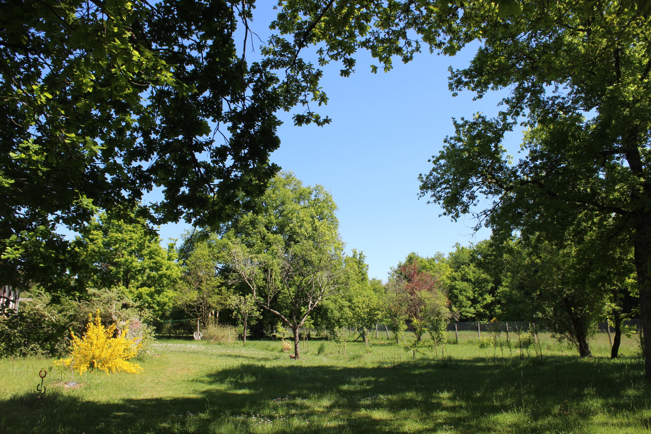 Auprès de mon arbre, Villefranche-sur-Cher - photo 3
