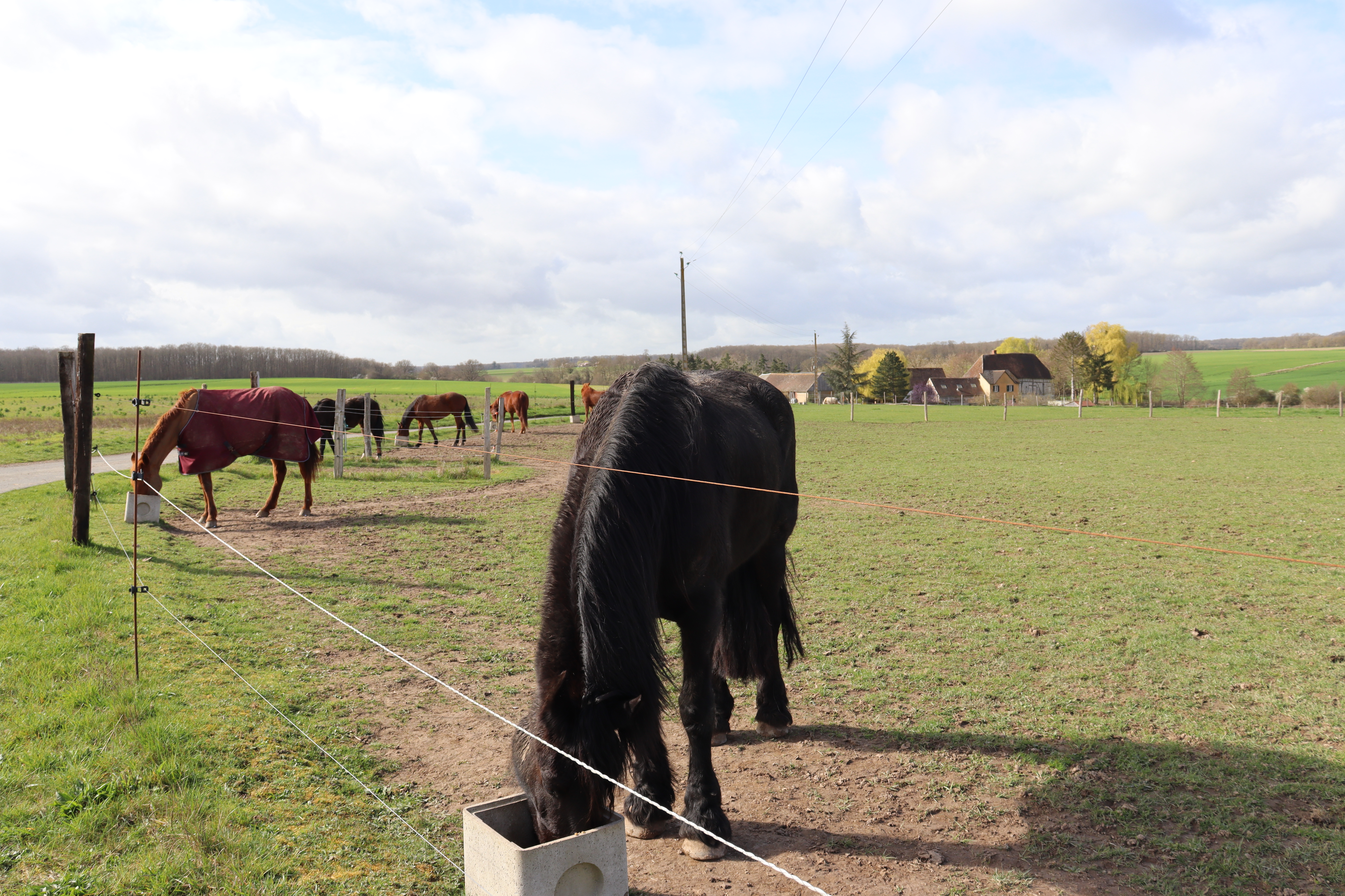 La Goufferie Attelage, Maillebois - photo 2