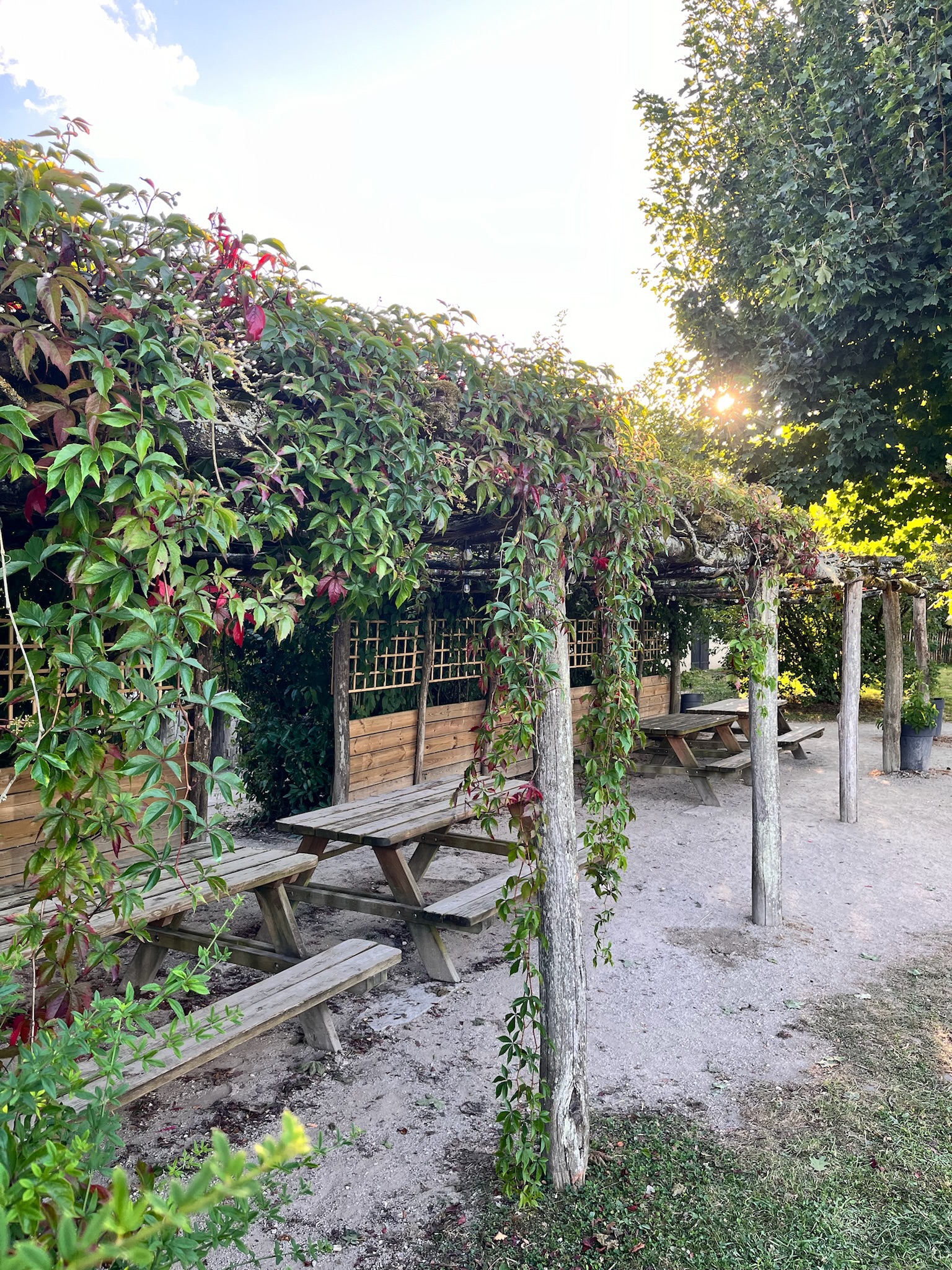 Le Moulin à Vent, salle de réception et hébergement, Nibelle - photo 10