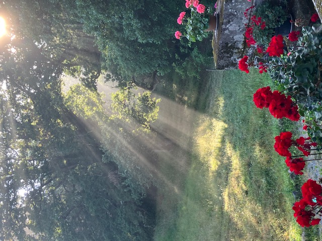 La Remise, Gargilesse-Dampierre - photo 8