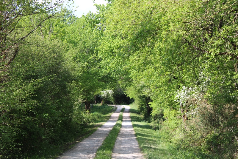 Domaine du Plessis, Migné