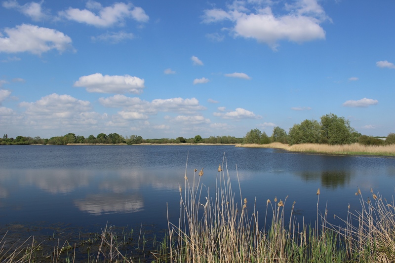Observatoire de l'Etang Neuf (Domaine du Plessis), Migné - photo 2