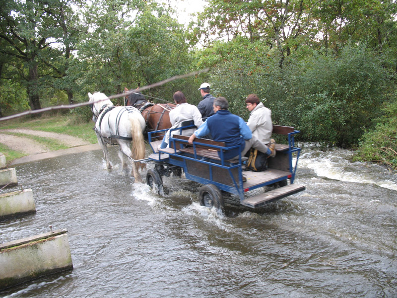 La Brenne à cheval : Grand tour des étangs de la Brenne en 3 jours, Mézières-en-Brenne - photo 3