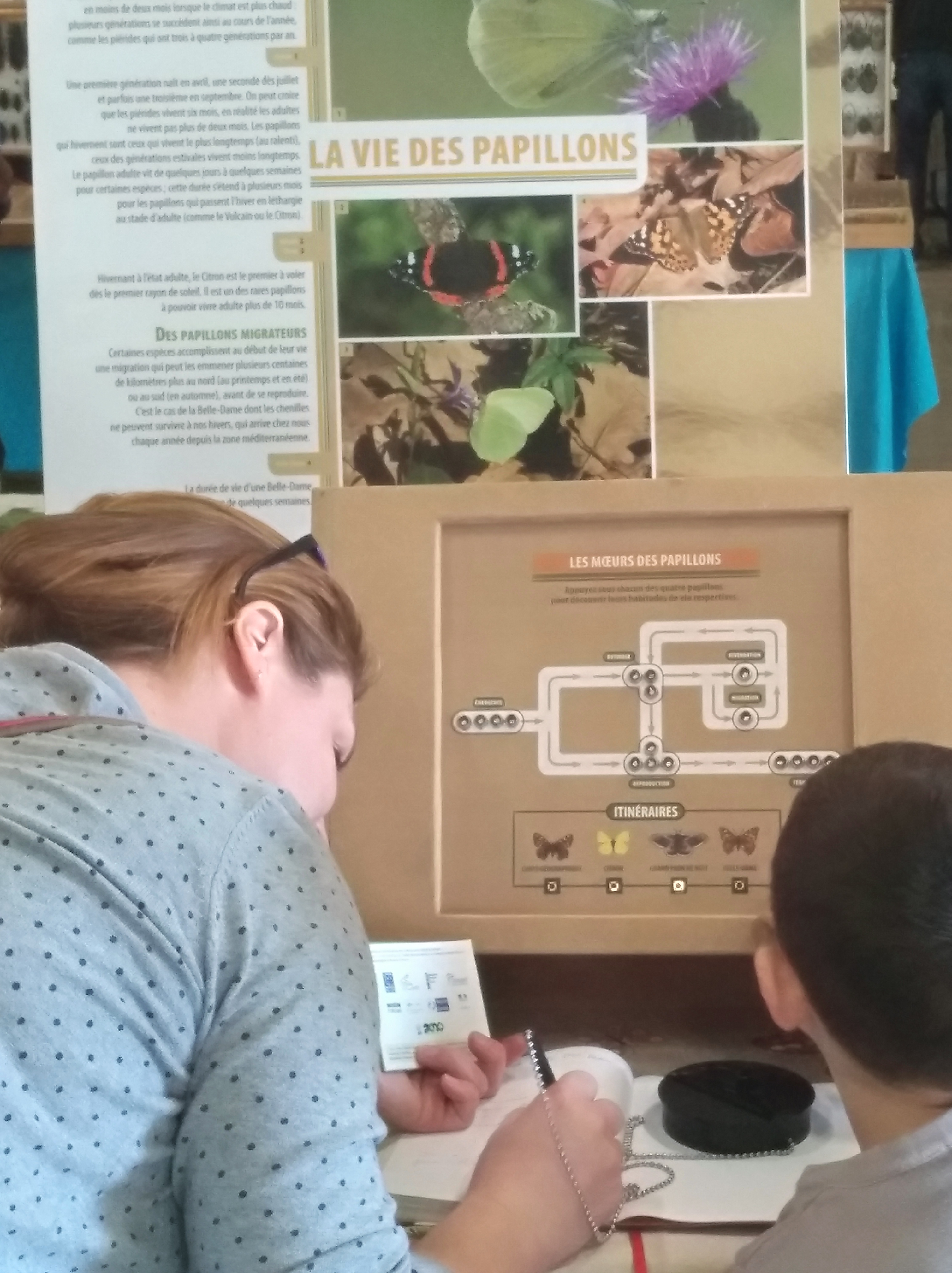 Maison de la Forêt, Paucourt - photo 8