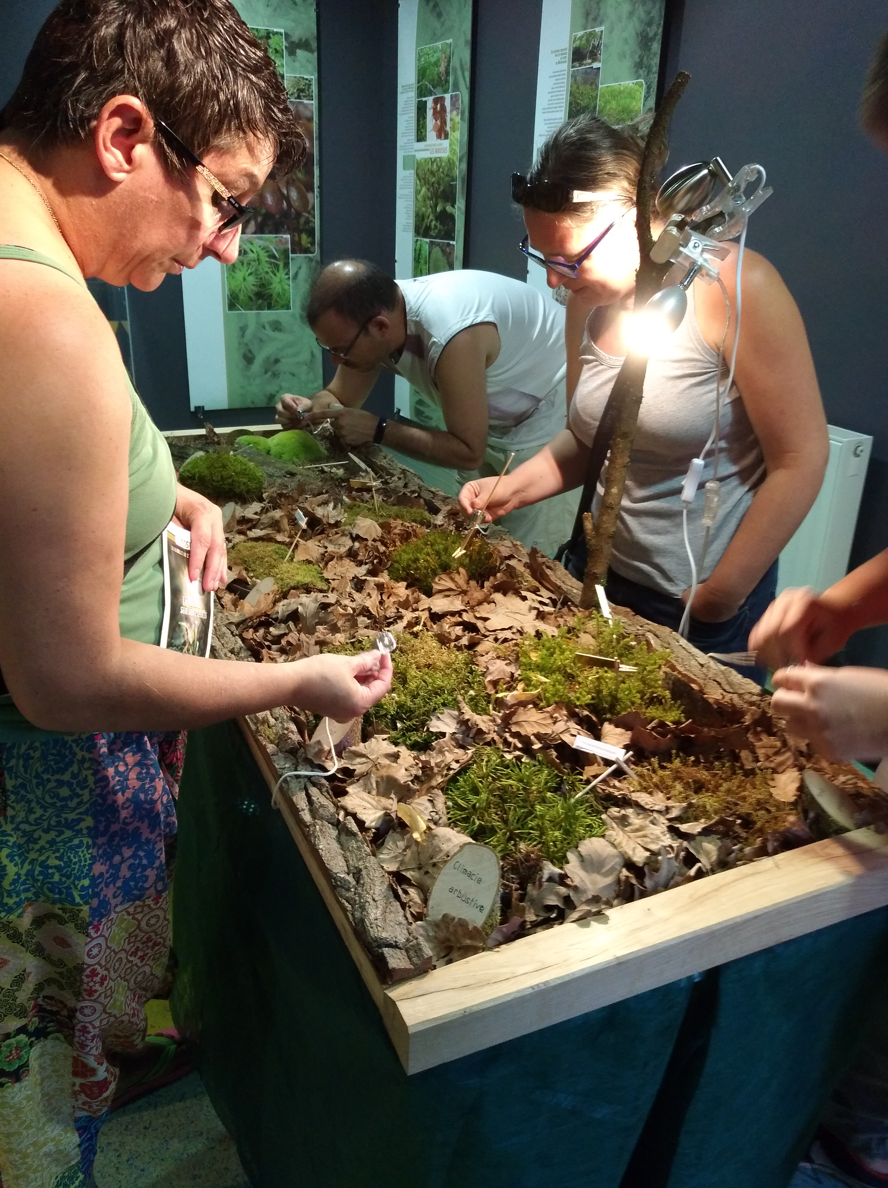 Maison de la Forêt, Paucourt - photo 4