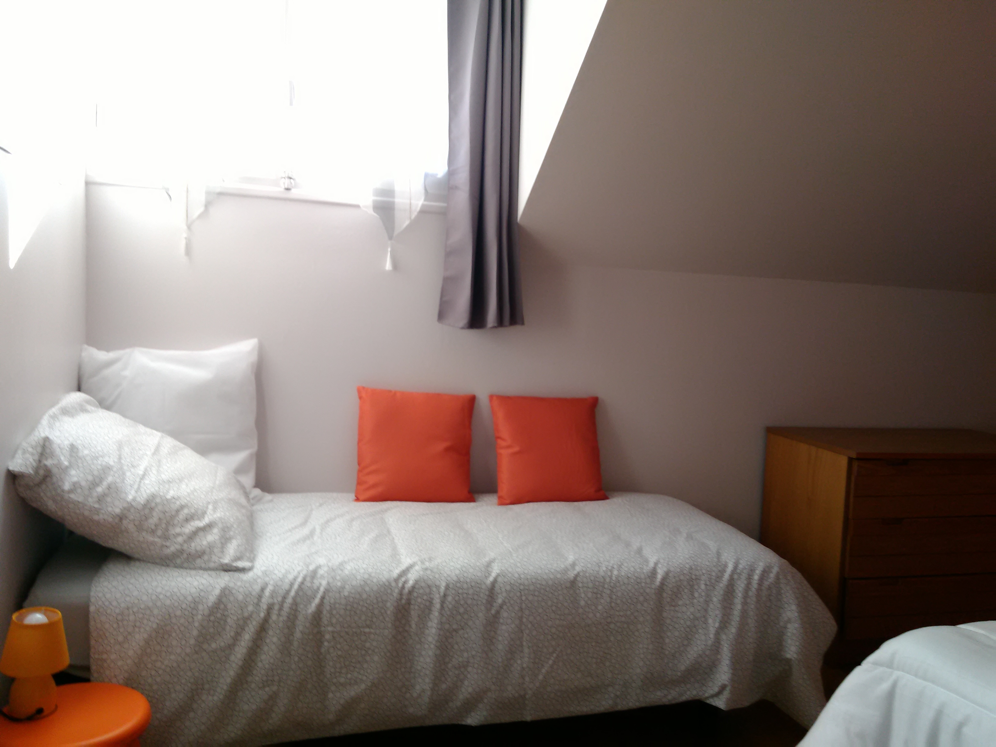 Tribu de beauval, Saint-Aignan - photo 5