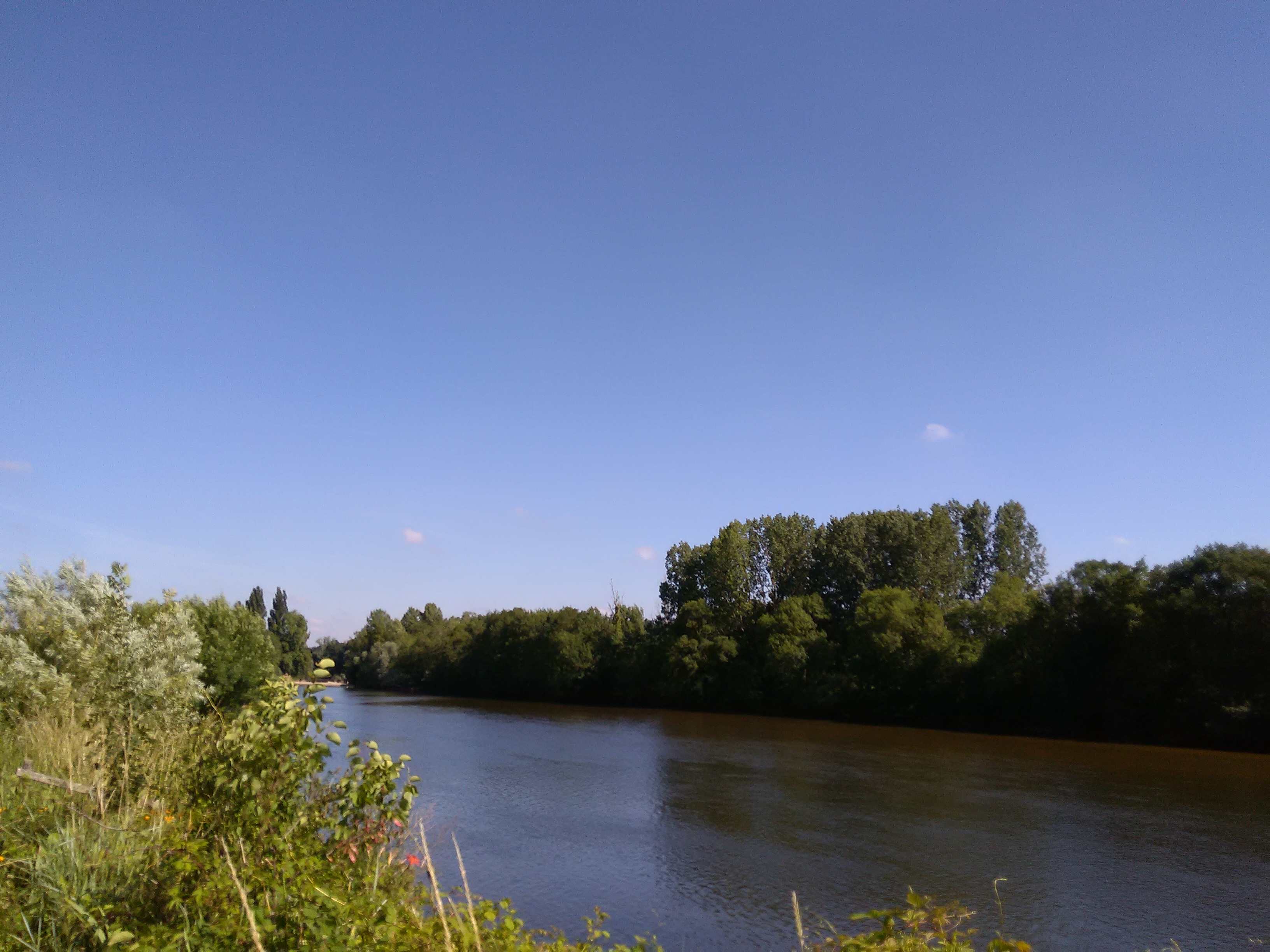 Tribu de beauval, Saint-Aignan - photo 7