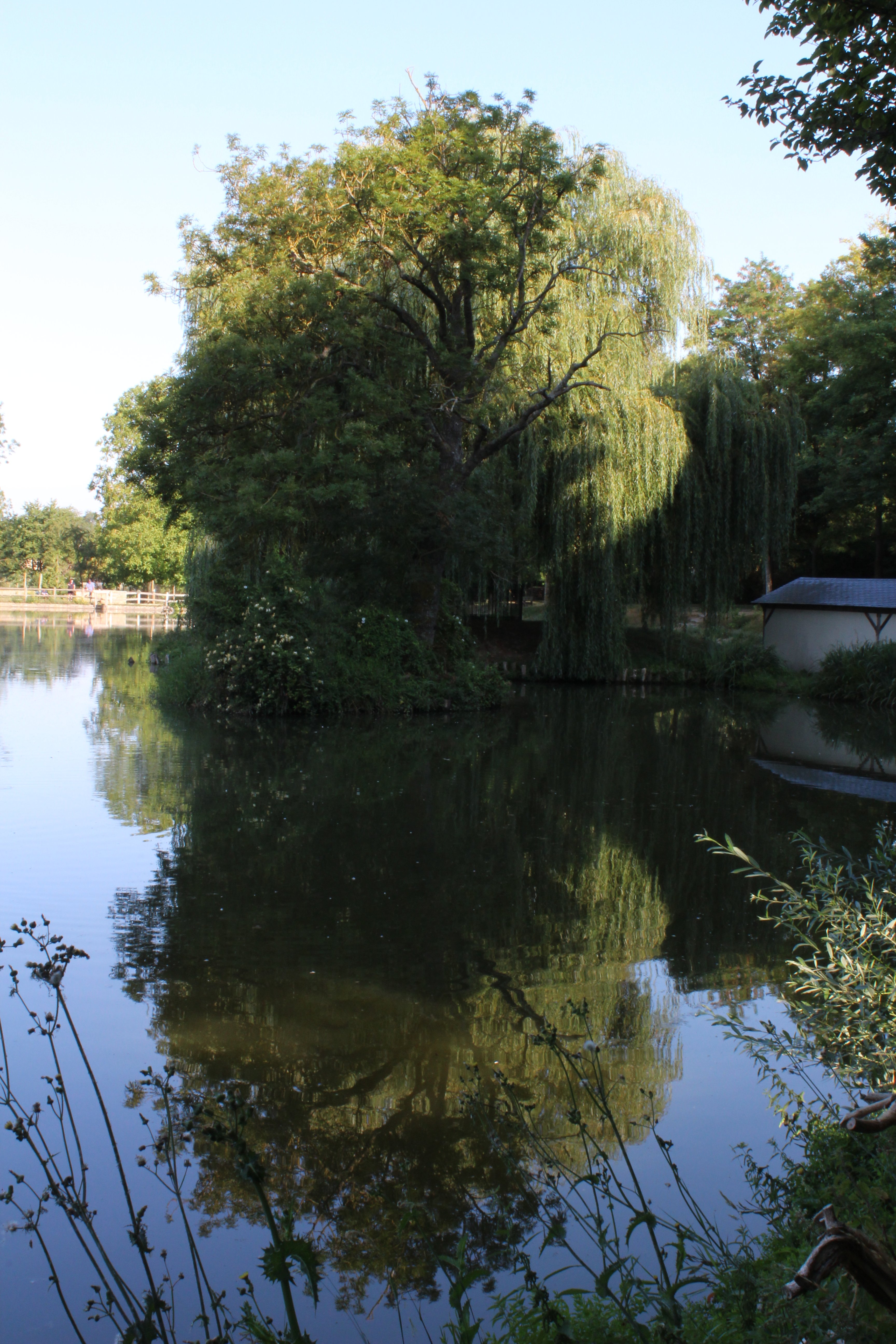 Parcours Découverte Gas, une promenade dans les années 60
