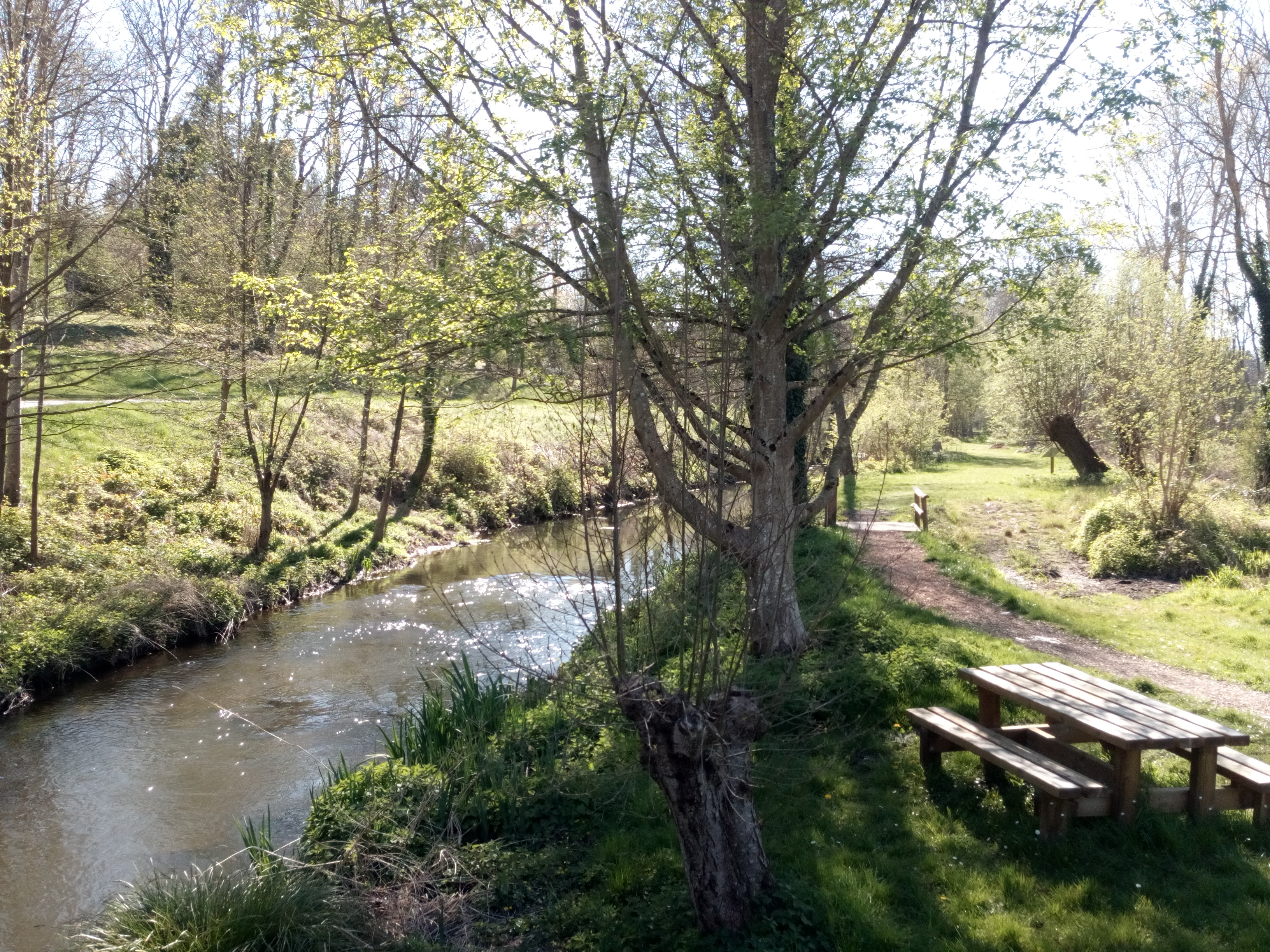 Aire de pique-nique au Marais du moulin de la Porte, Estouy - photo 5