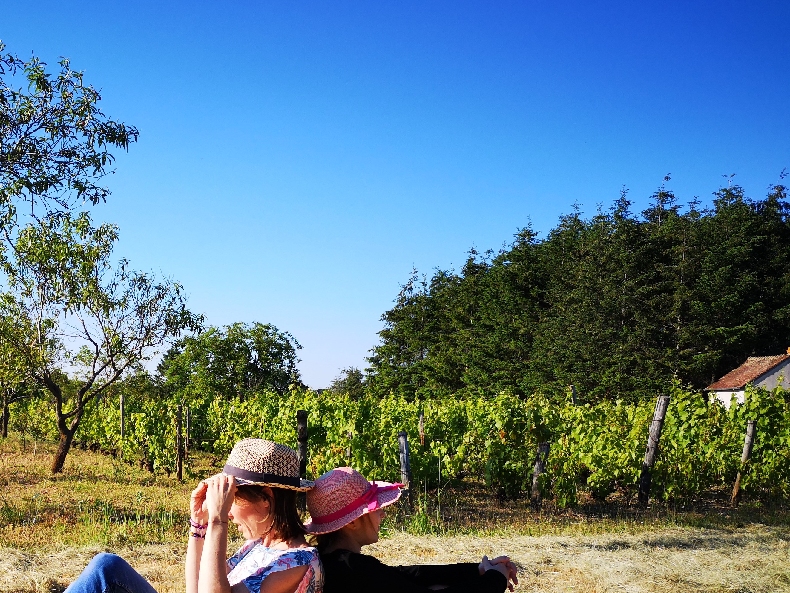 Les jardins de Beauregard, Le Magny