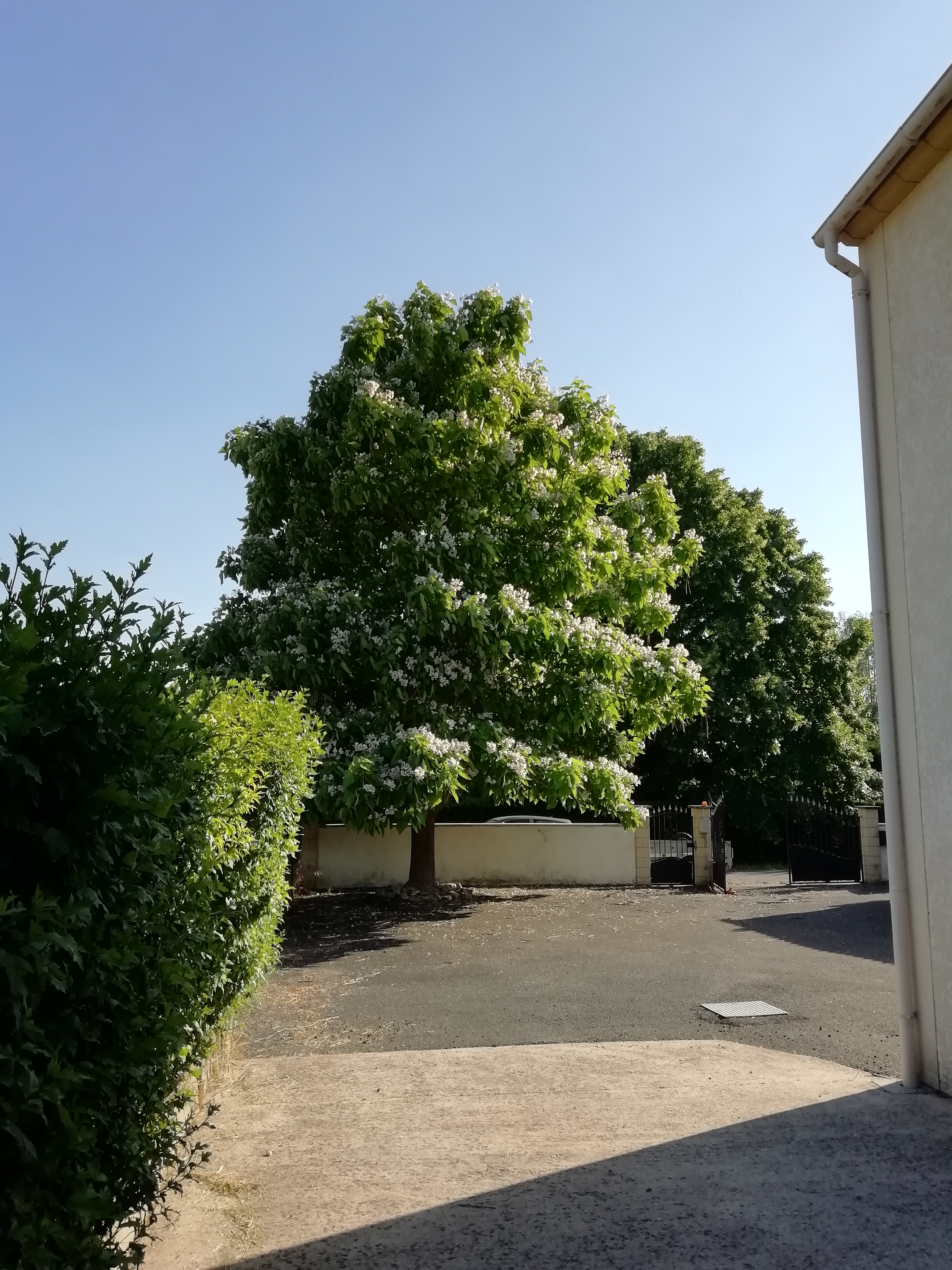 Tribu d'asato, Noyers-sur-Cher - photo 12