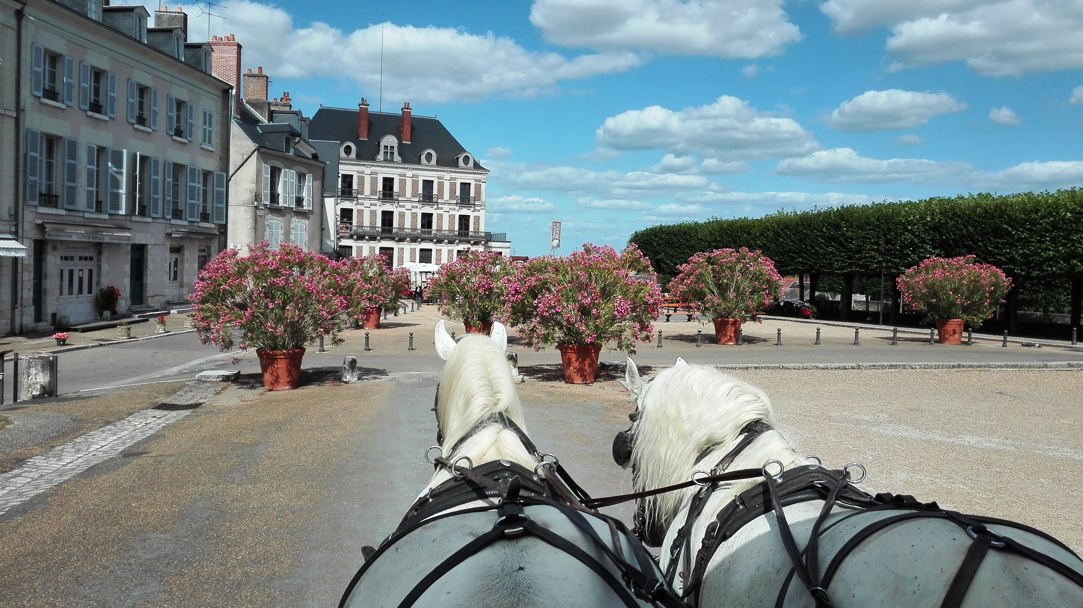 Visit of the old town by horse-drawn carriage©