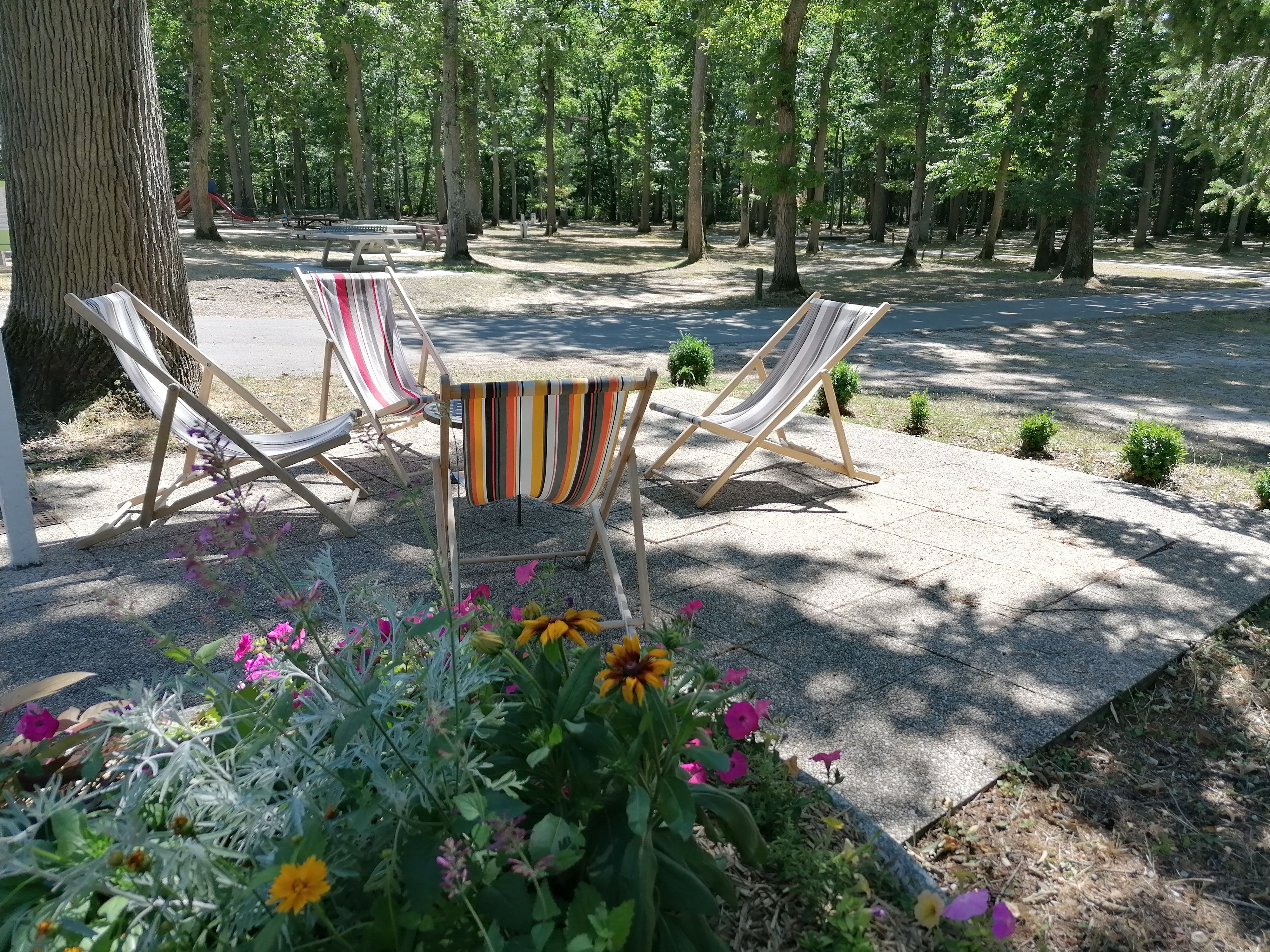 Camping de la Forêt, Montargis - photo 6