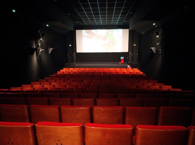 Cinéma Le Dunois, Beaugency