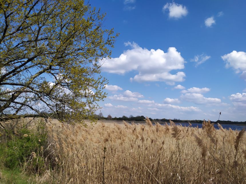 Sentier de découverte de Beauregard, Saint-Michel-en-Brenne - photo 4