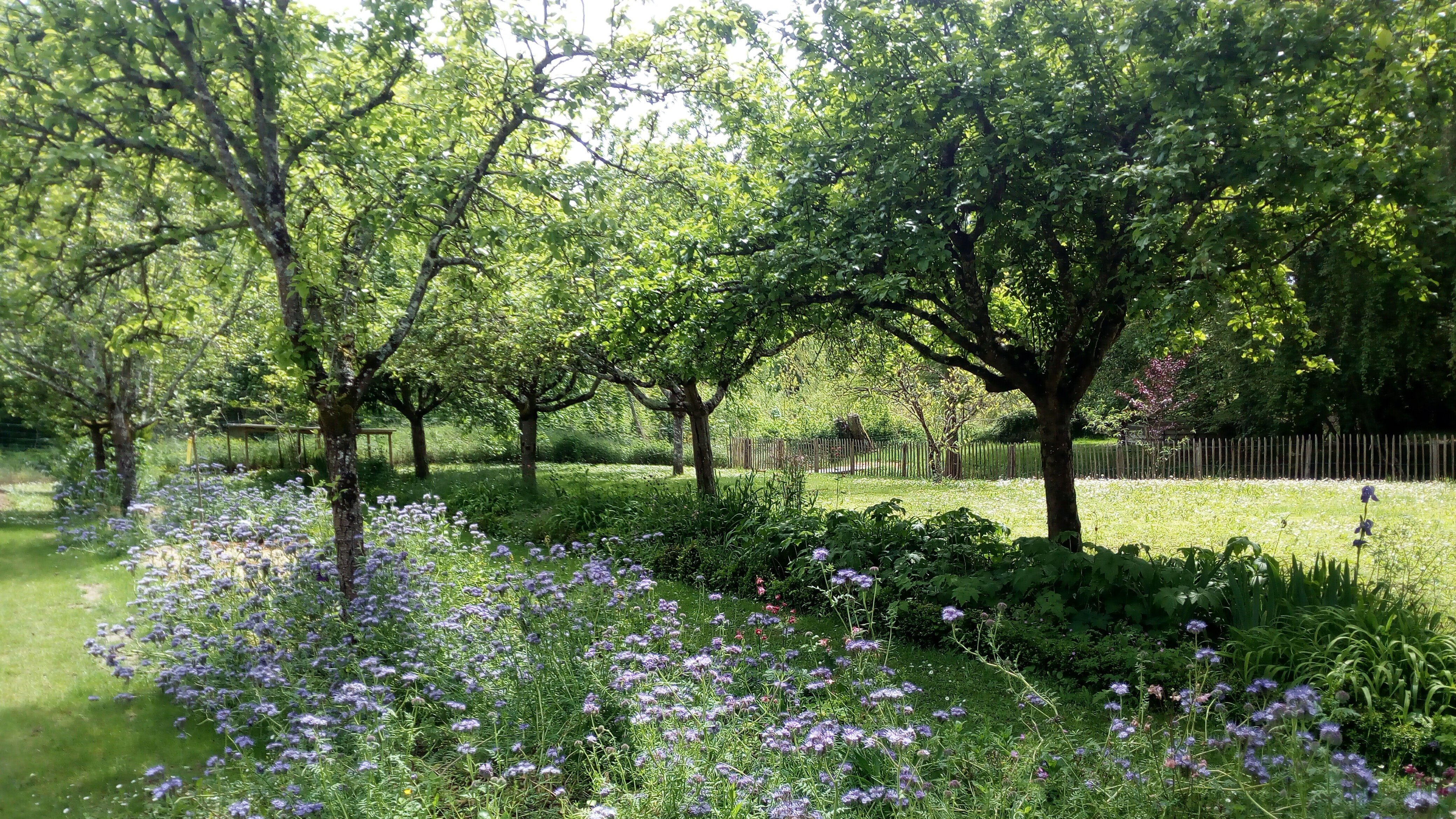 Gîte au jardin de grand-père, Le Controis-en-Sologne - photo 19