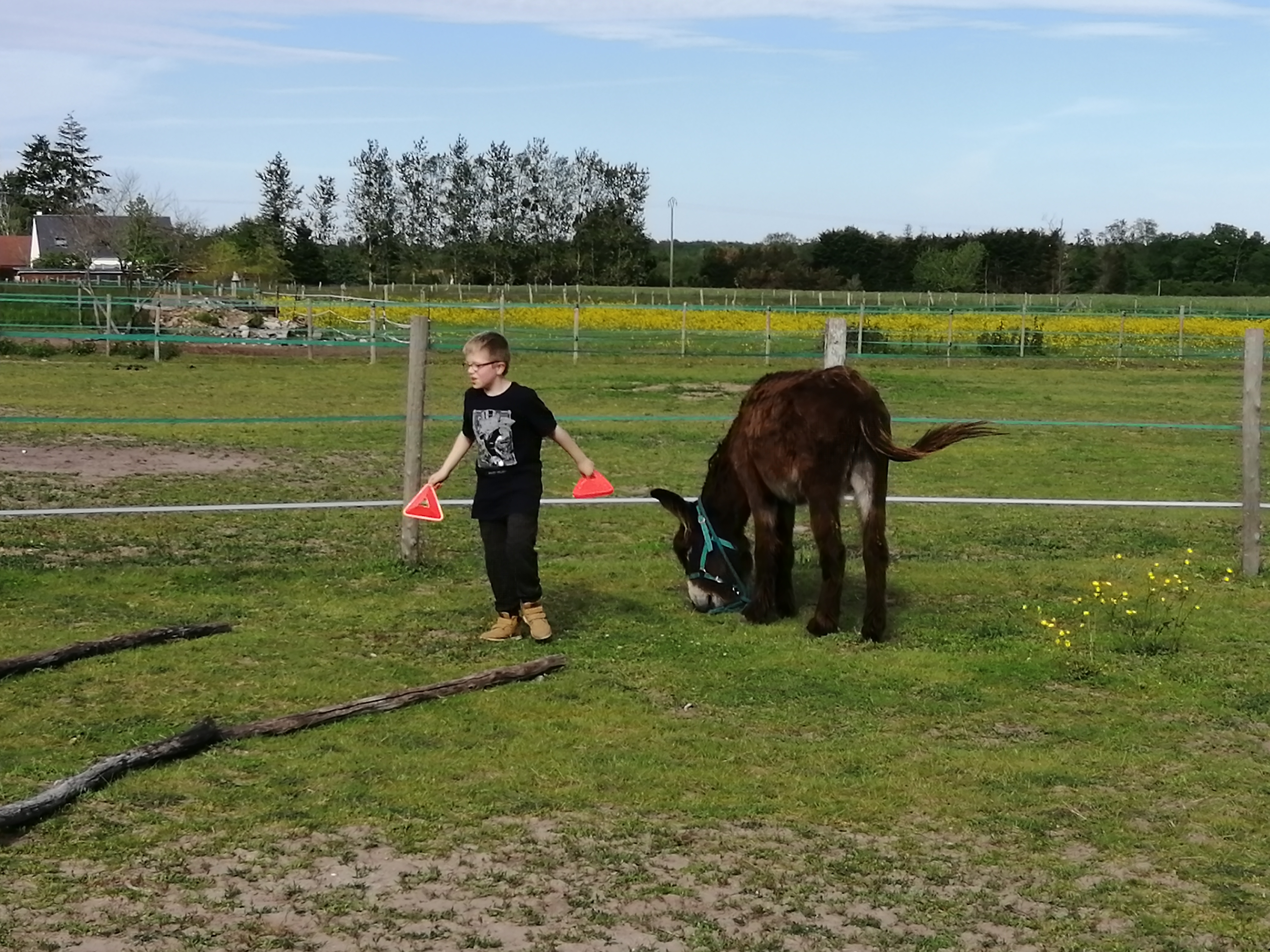 Bonnet d'âne et cerf-volant - photo 3