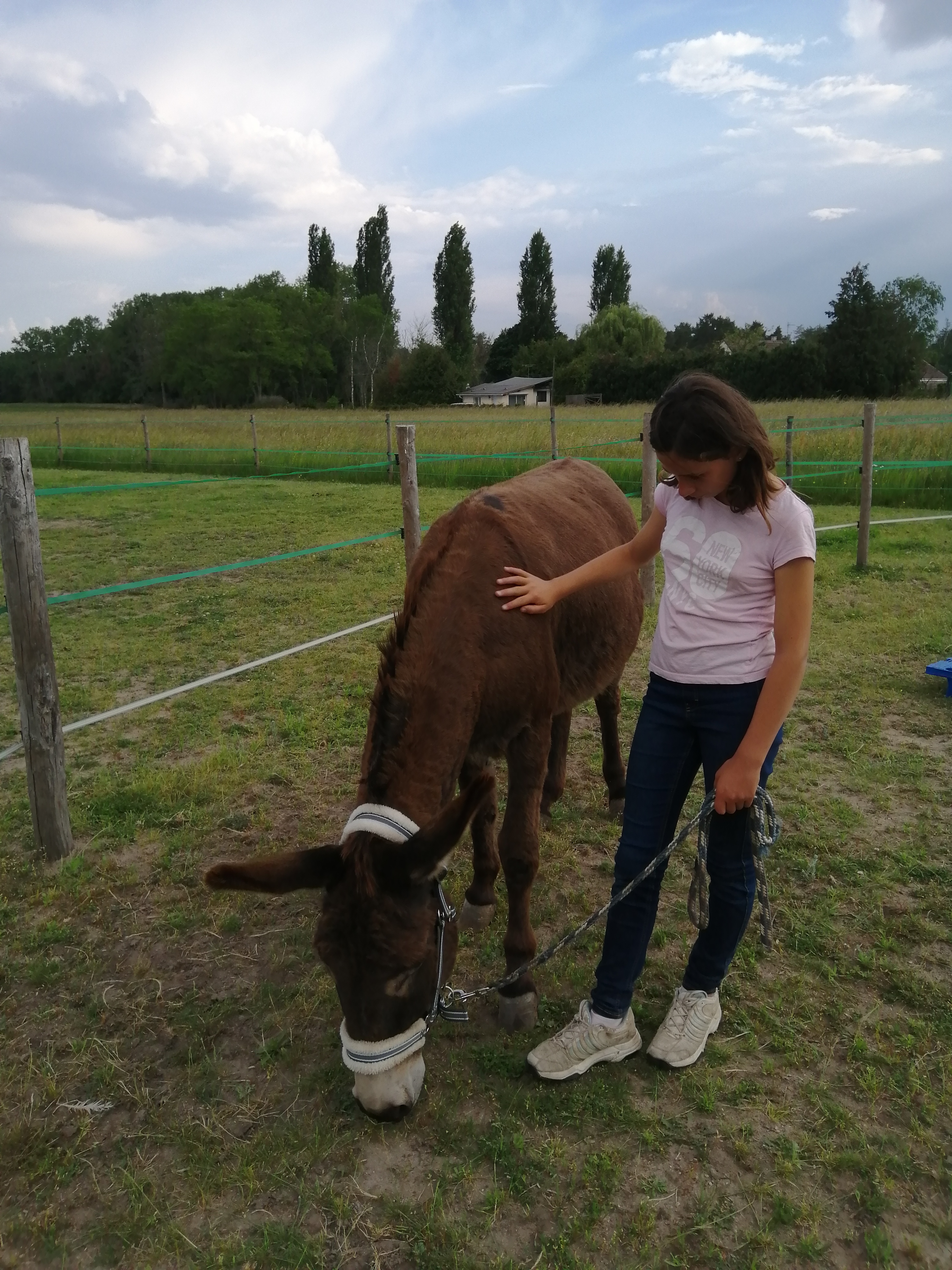 Bonnet d'âne et cerf-volant - photo 2