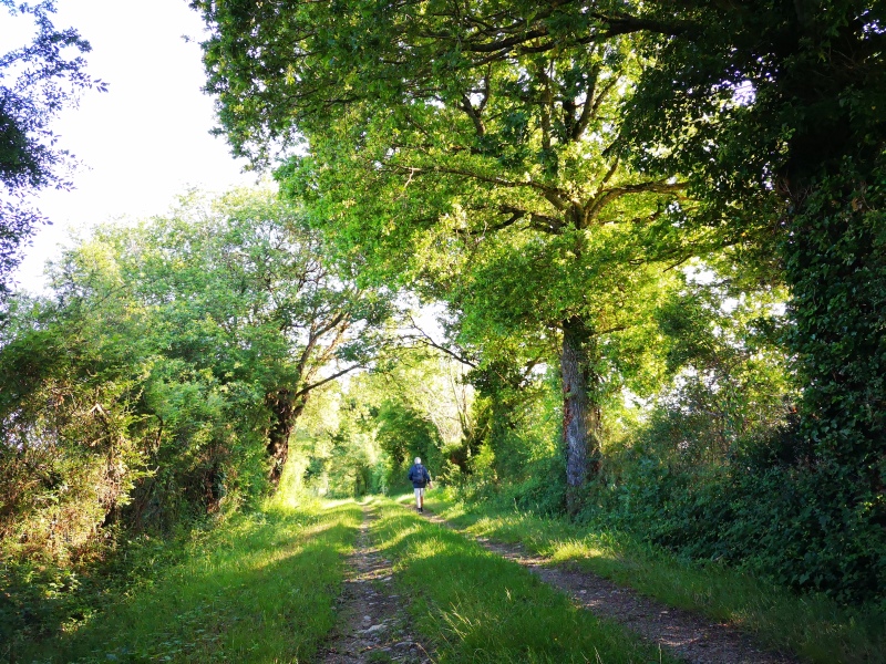 Circuit pédestre n° 111 : l'évasion verte