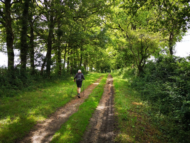 Circuit pédestre n° 110 : L'incontournable bocage