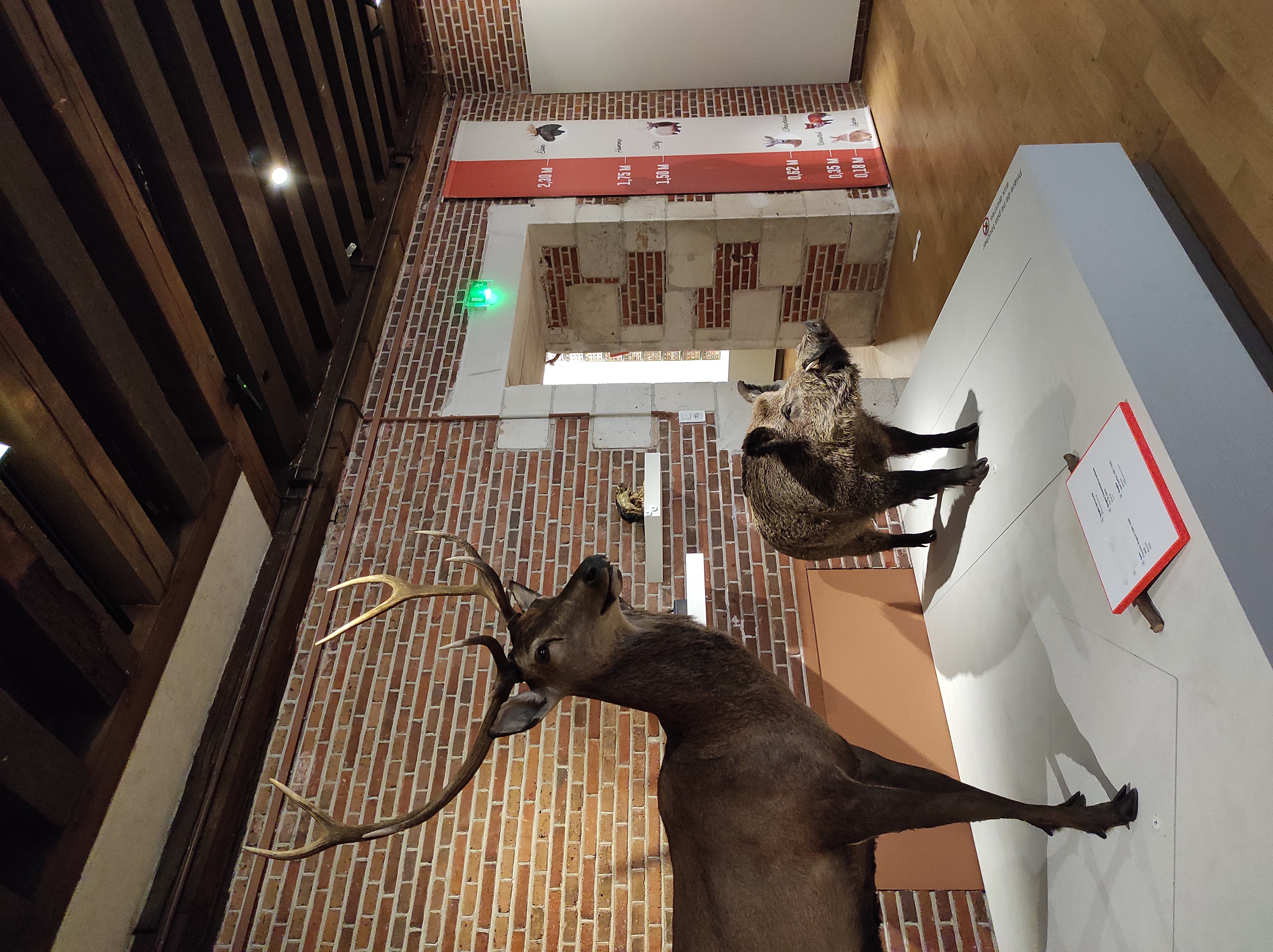 Visite guidée du Château-musée de Gien