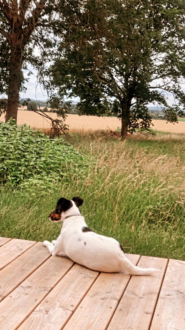 Domaine de Chaillauroy, piscine intérieure chauffée, Buzançais - photo 12