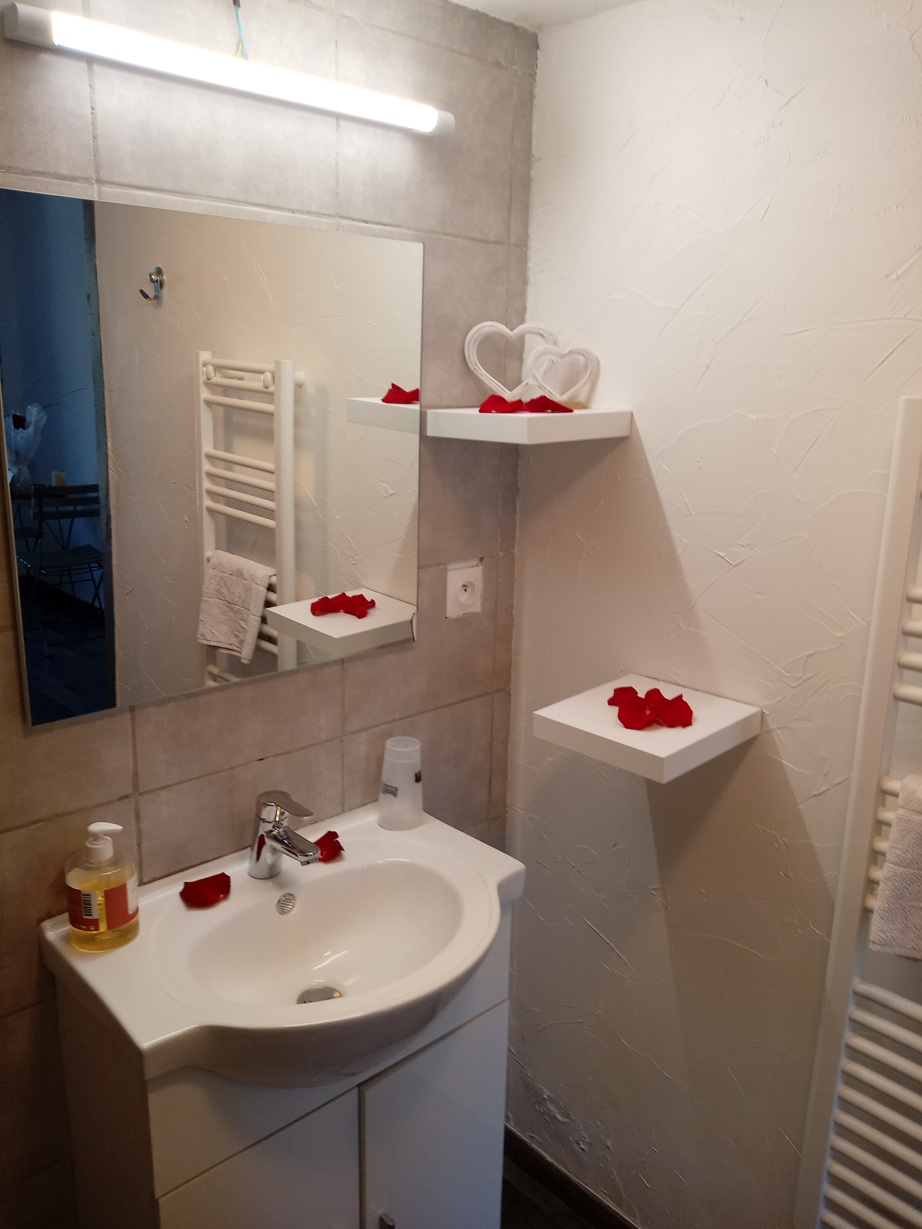 Studio les coquelicots, Saint-Romain-sur-Cher - photo 12