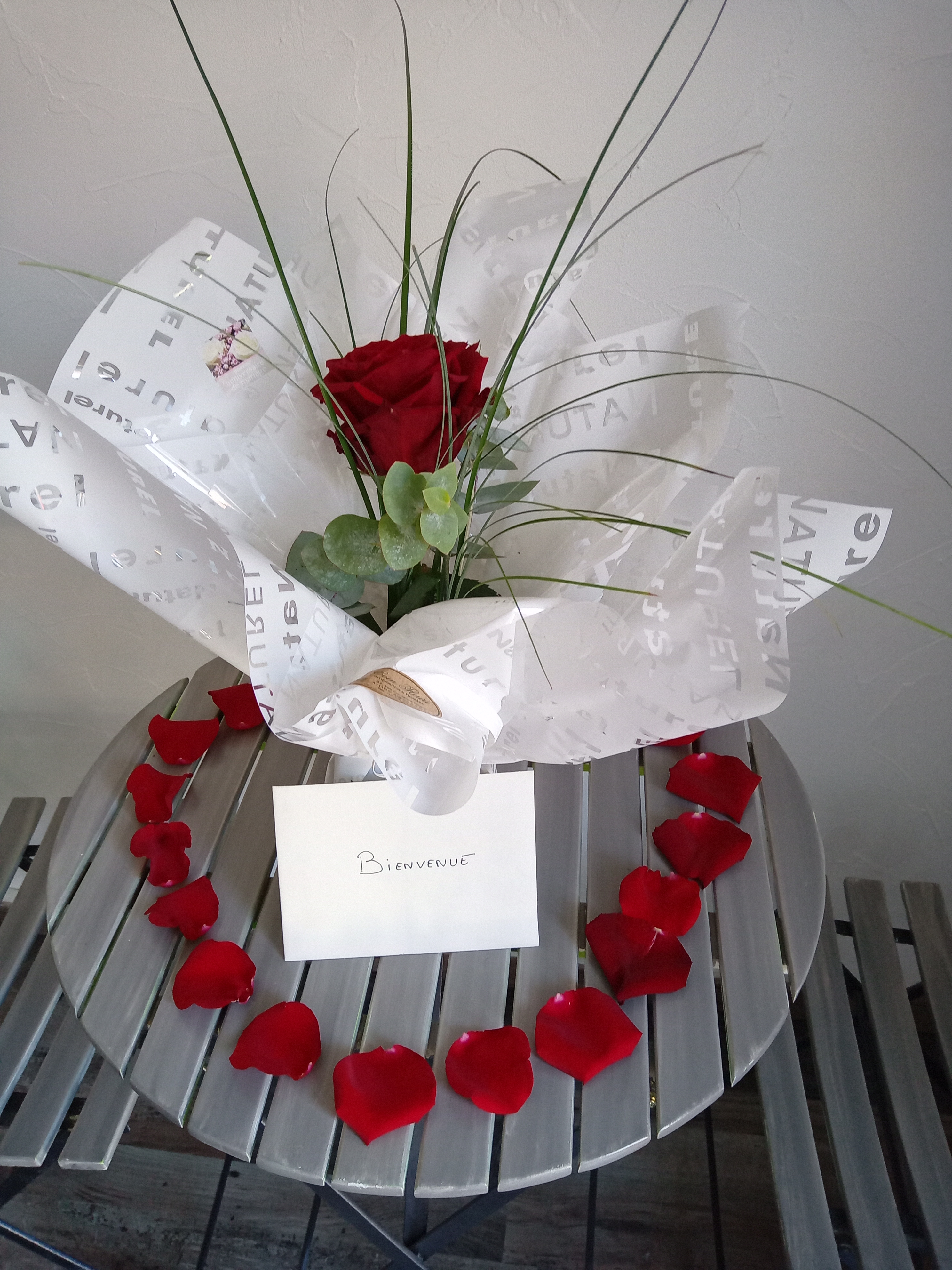 Studio les coquelicots, Saint-Romain-sur-Cher - photo 11