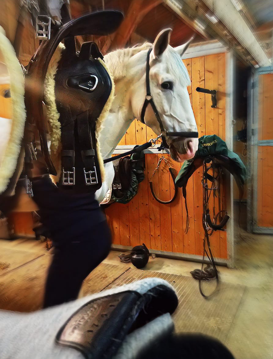 Le manège de la Chapinière N°1, Châteauvieux