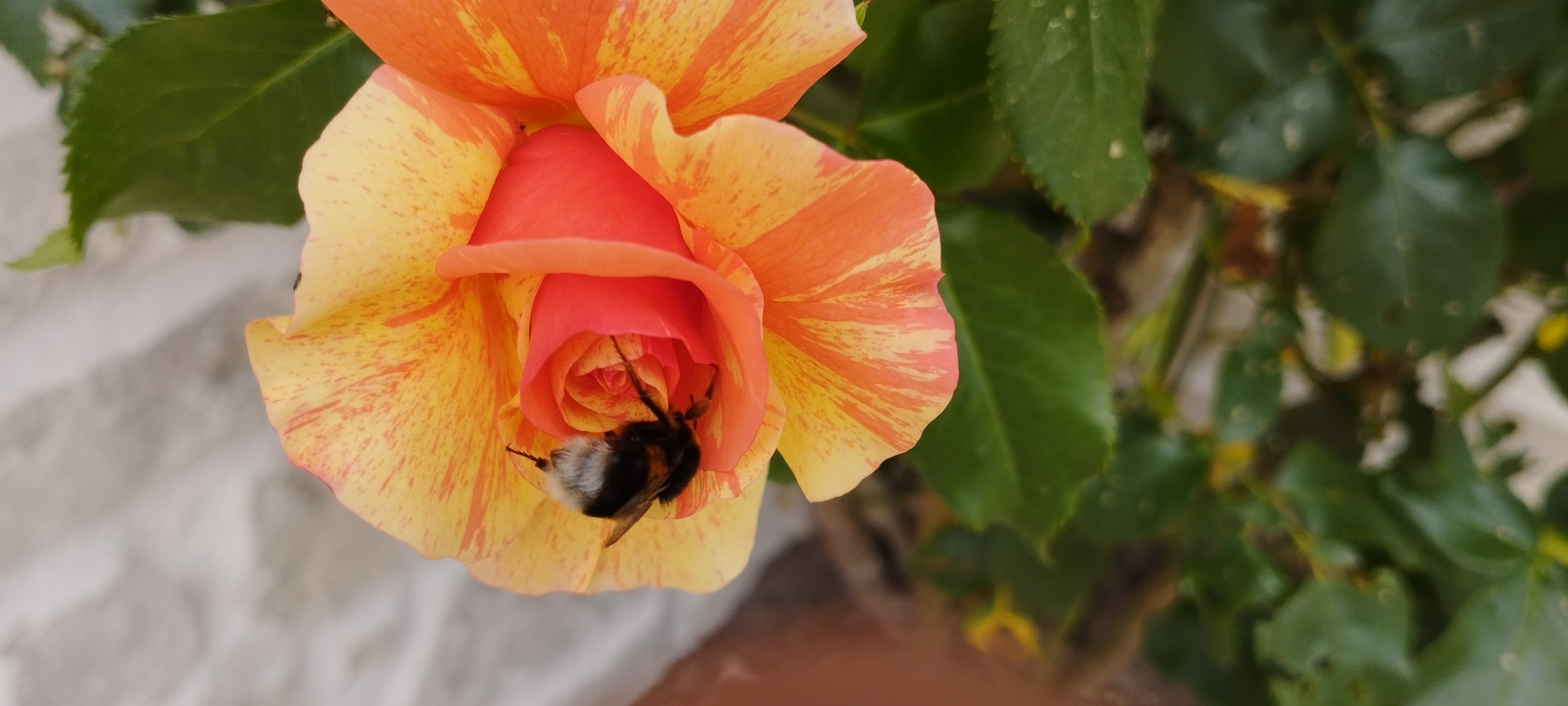 Gîte de la madeleine, Millançay - photo 10