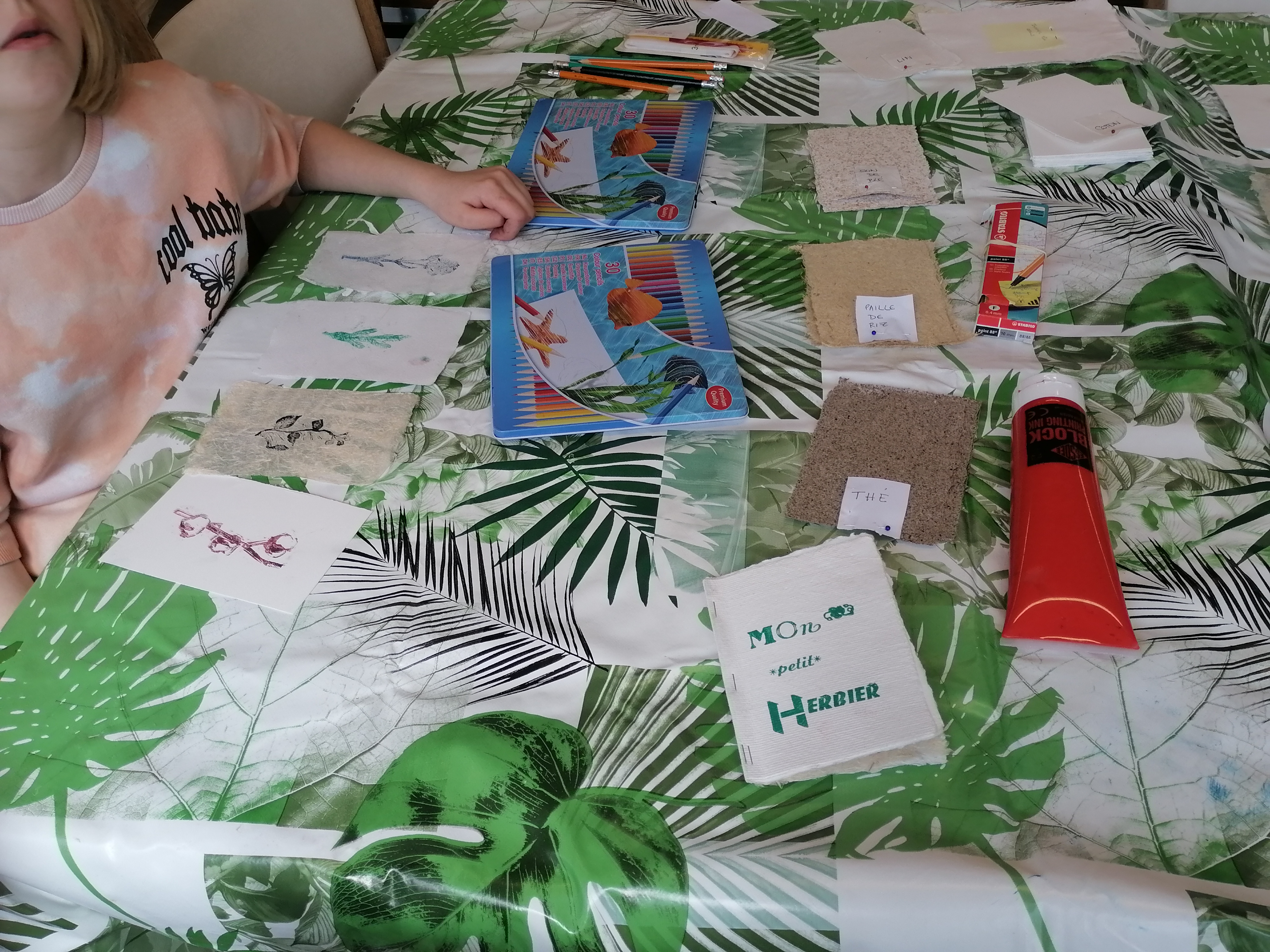 Mon petit herbier imprimé - AMI, Le Malesherbois - photo 2
