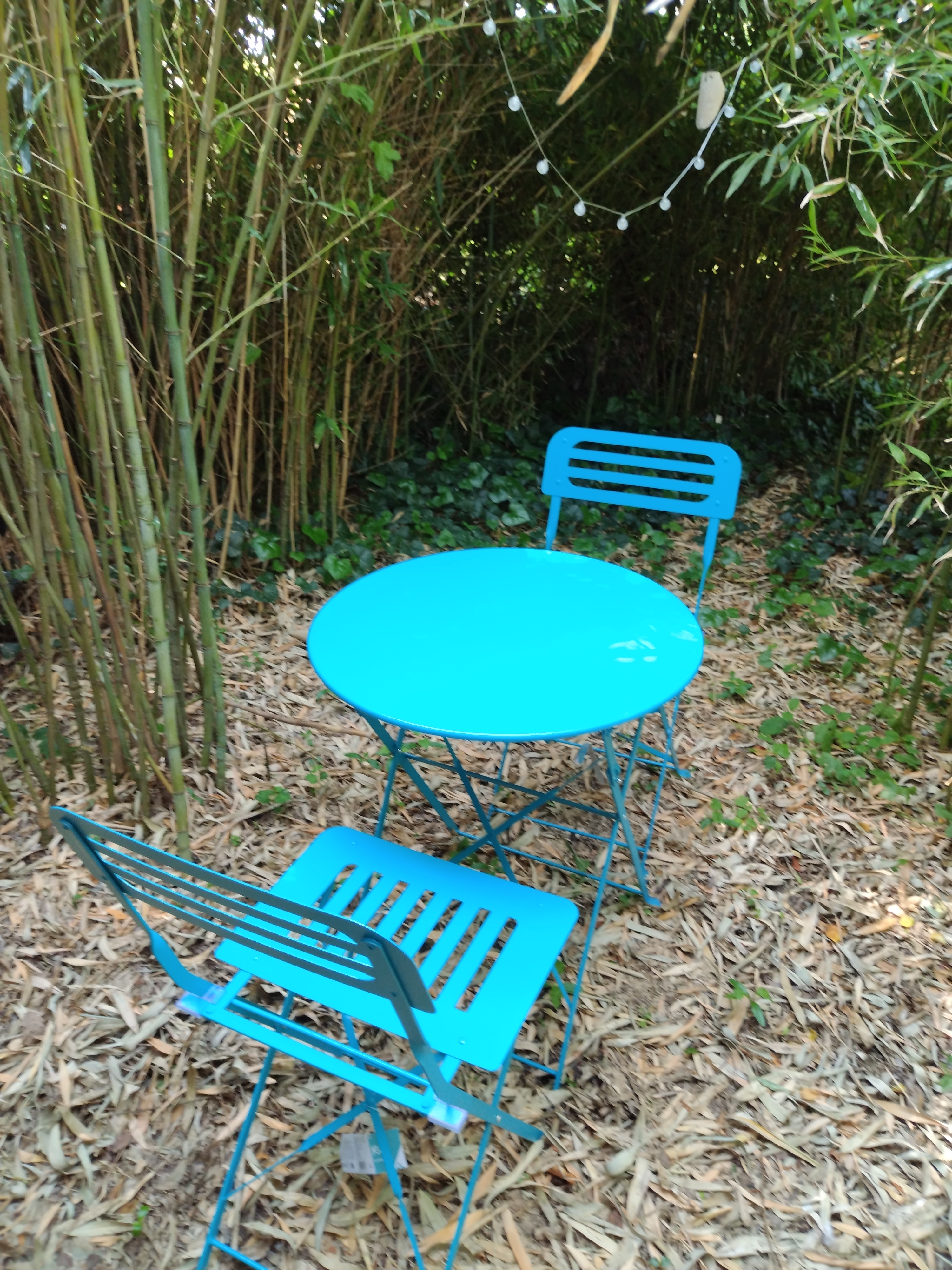 Le Nid, Marboué - photo 4