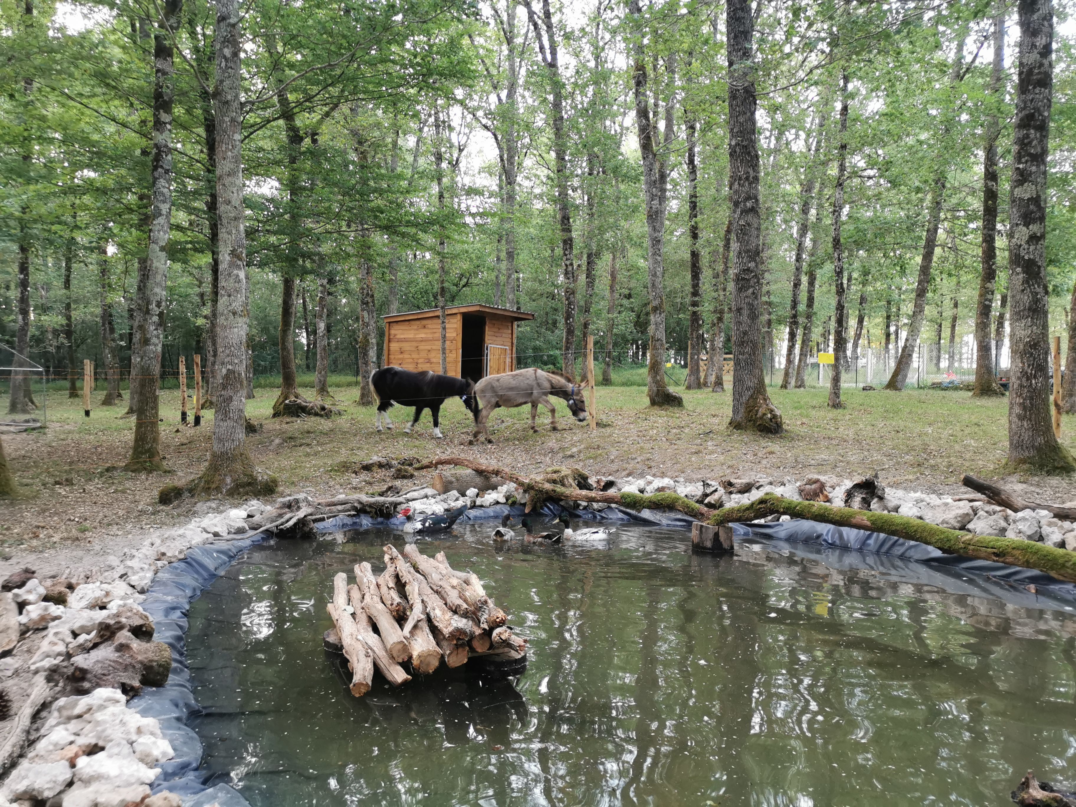 Camping la parenthèse meslandaise, Mesland - photo 5