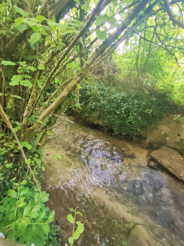 Le camp du bivouaqueur, Bouges-le-Château - photo 7