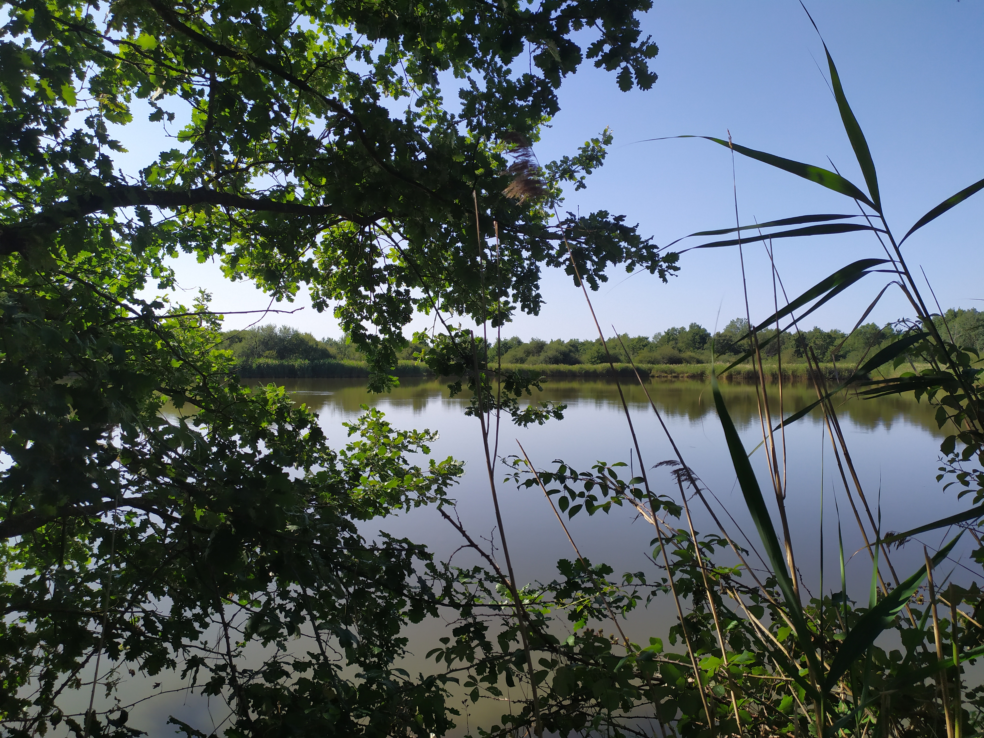 Balade dans la réserve de Chérine