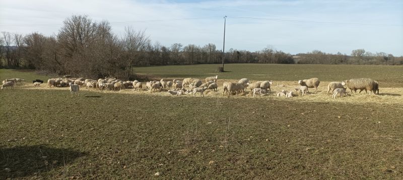 Centre d'accueil camping/gîtes Ferme d'Hélice, Sarzay - photo 6