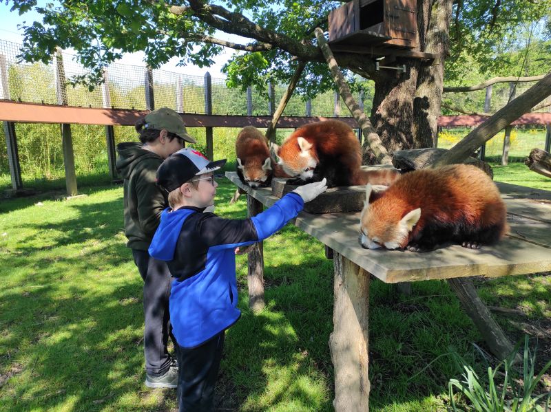 Apprenti soigneur à la réserve zoologique de la Haute-Touche