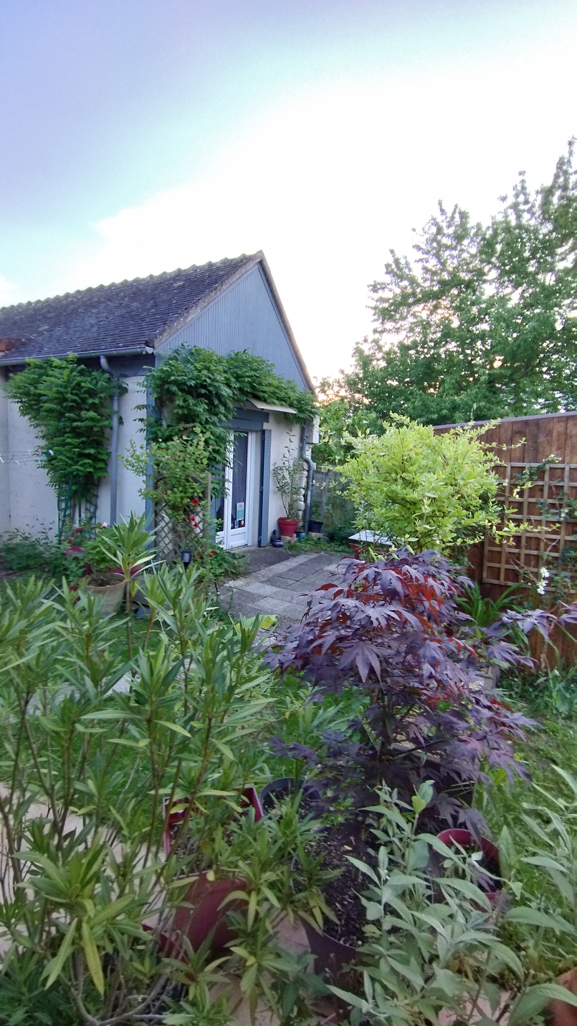 Studio les coquelicots, Saint-Romain-sur-Cher - photo 18