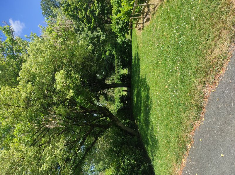 Camping de la Tête Noire, Buzançais - photo 4