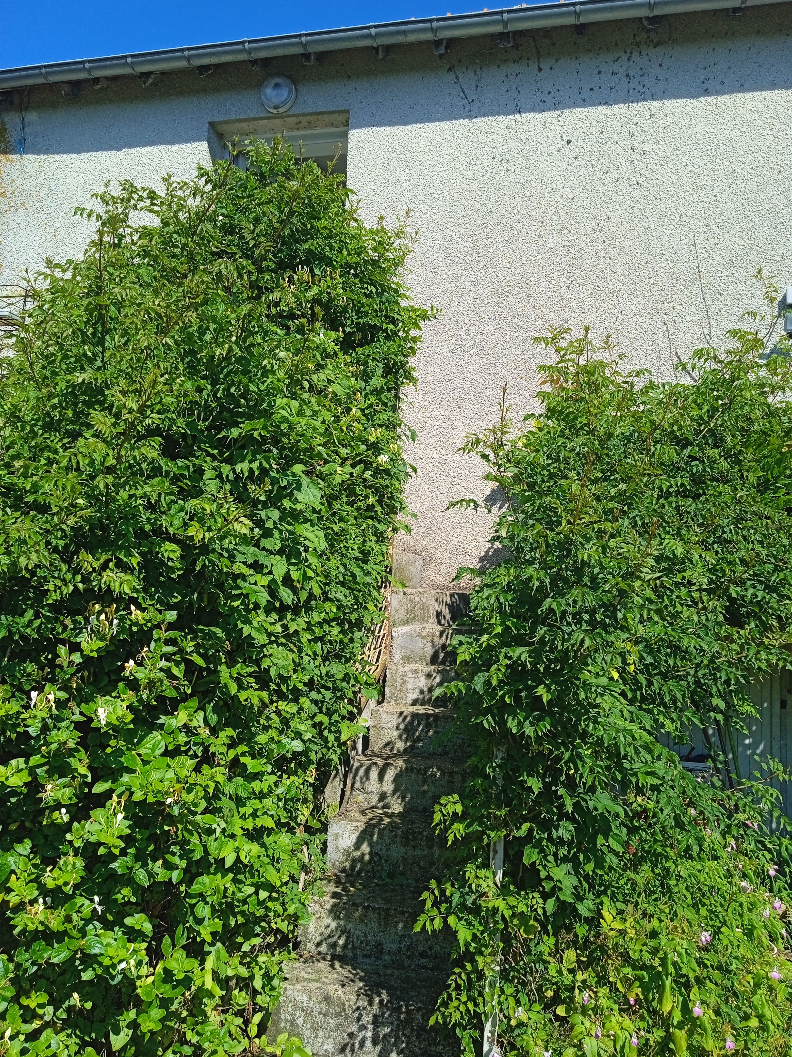 Bienvenue au moteux, Le Controis-en-Sologne - photo 6