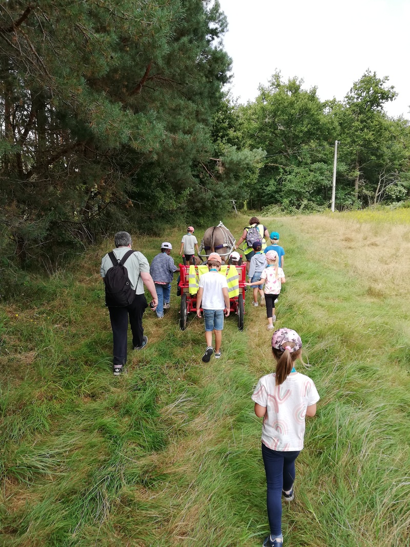 Balades et randonnées avec un âne, Ingrannes - photo 2