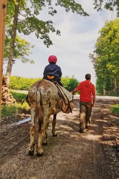 Randonnée avec un âne en autonomie