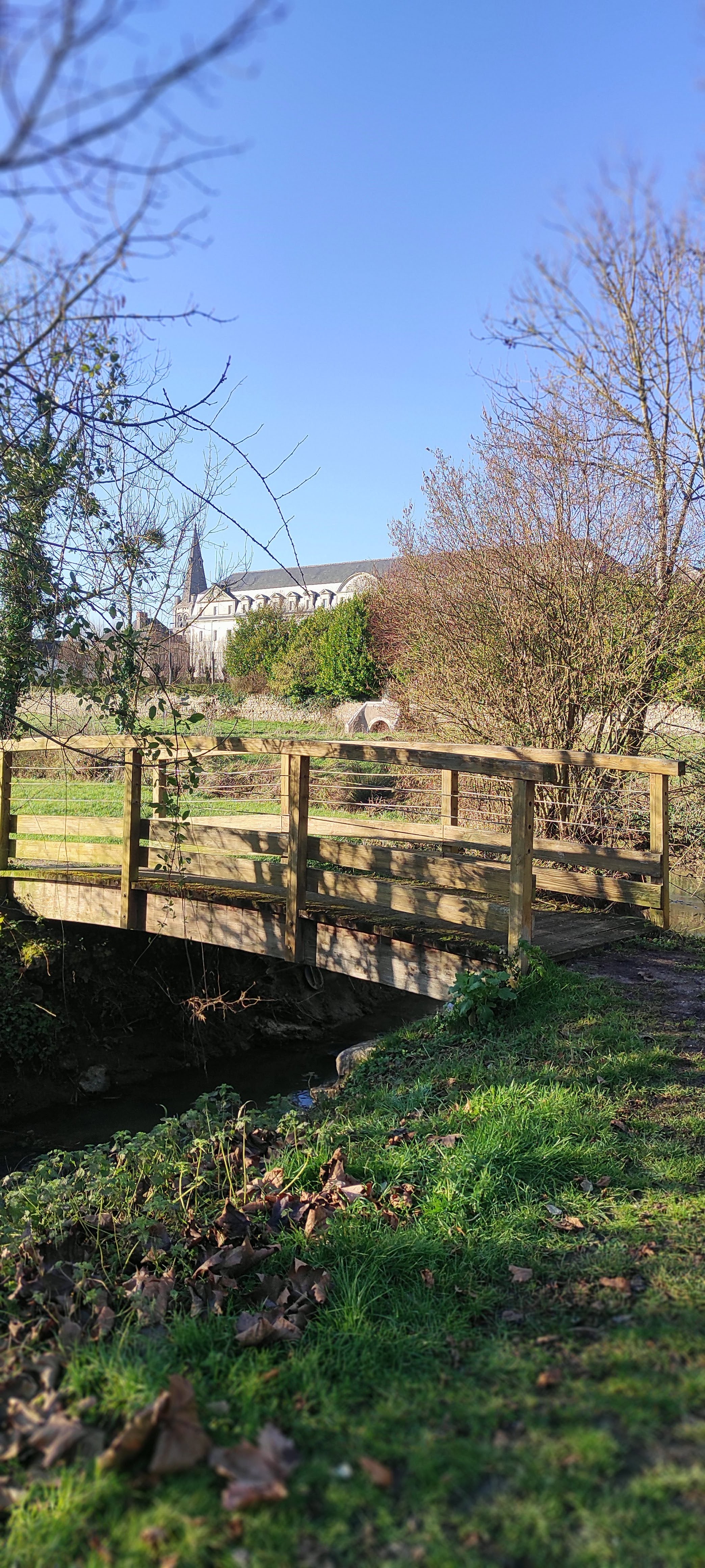 Maisonnette Bleue, Pontlevoy - photo 8