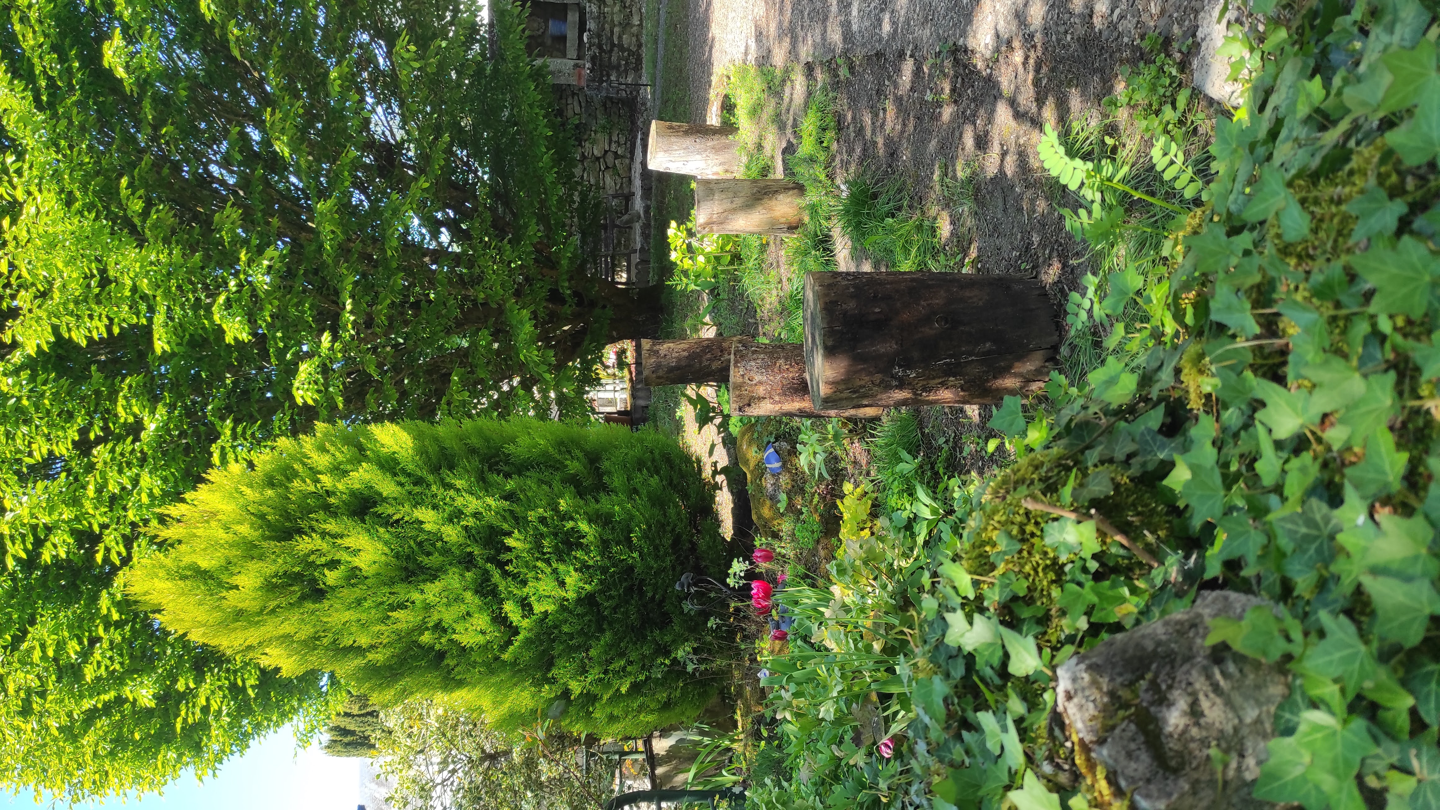 Maisonnette Bleue, Pontlevoy - photo 15