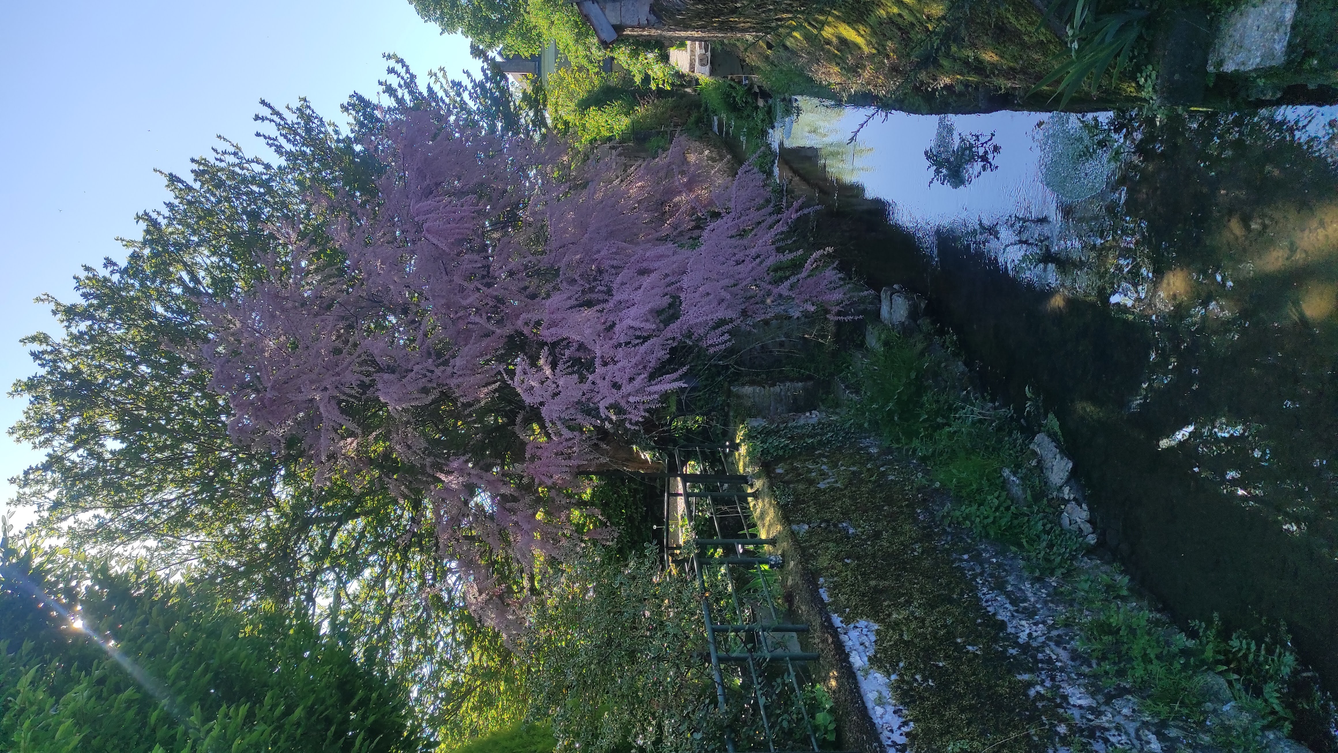 Maisonnette Bleue, Pontlevoy - photo 11