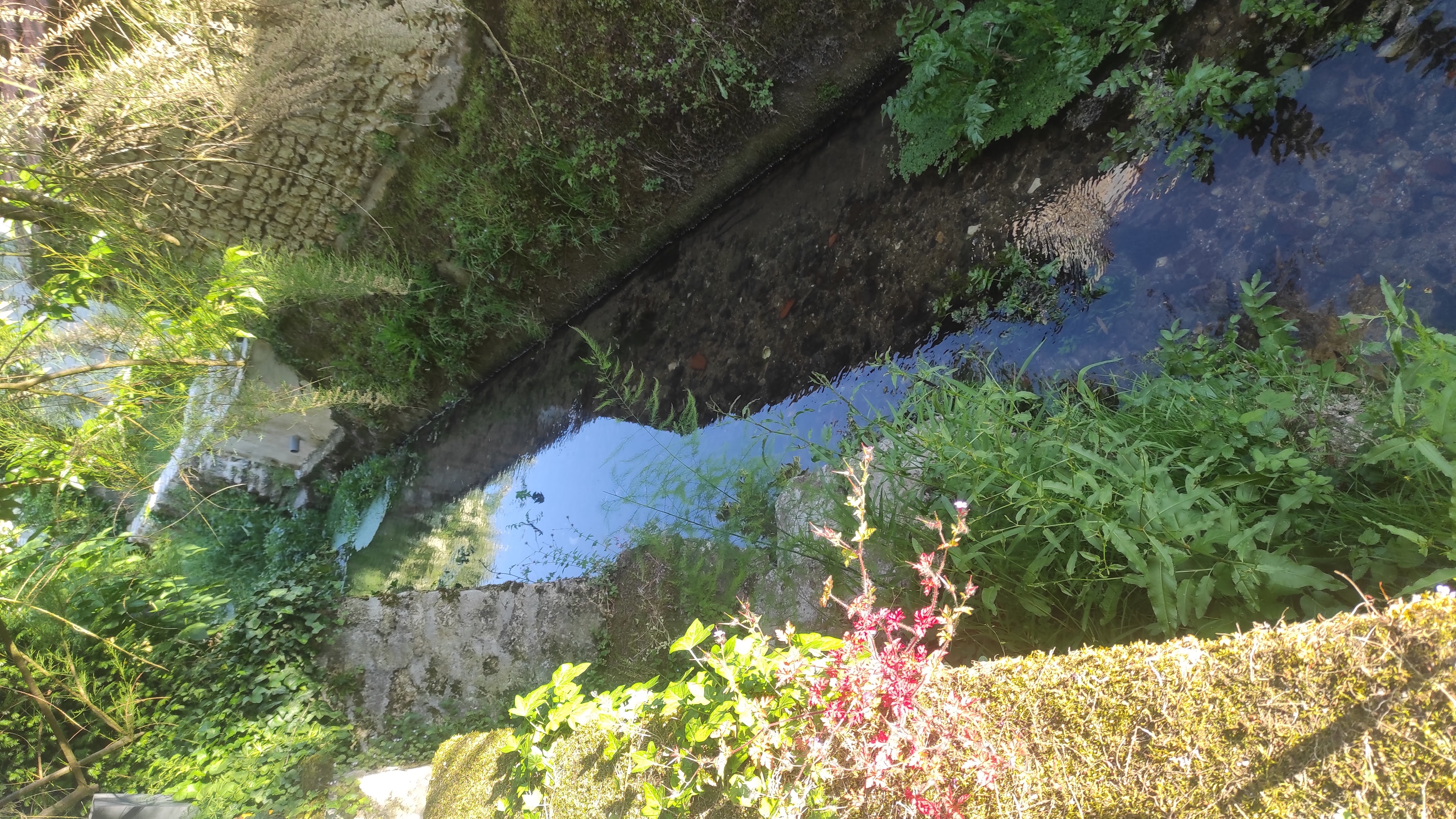 Maisonnette Bleue, Pontlevoy - photo 17