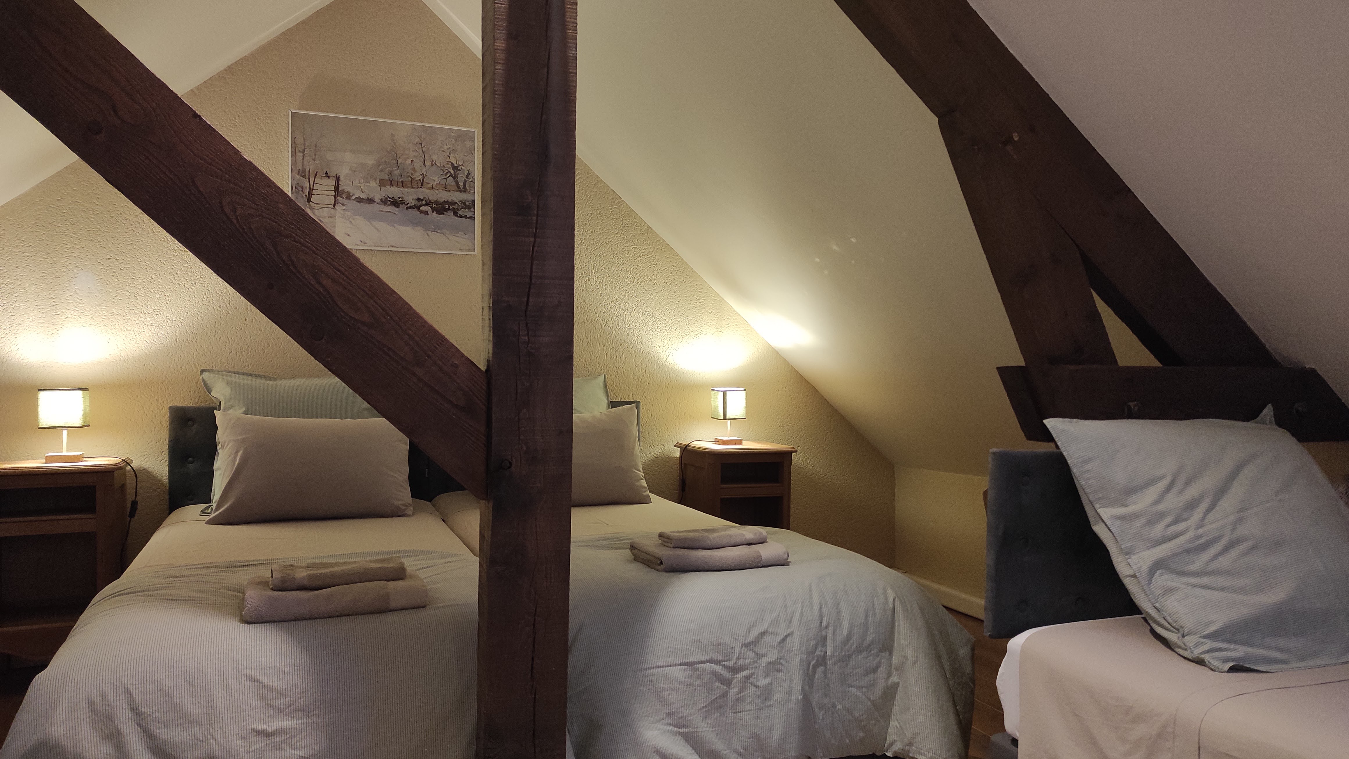 Poulain, Pontlevoy - photo 3