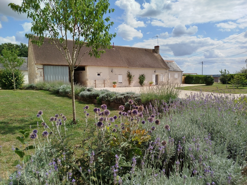La Brenne à cheval : circuits en marguerite au départ du Clos de la Fosse aux loups