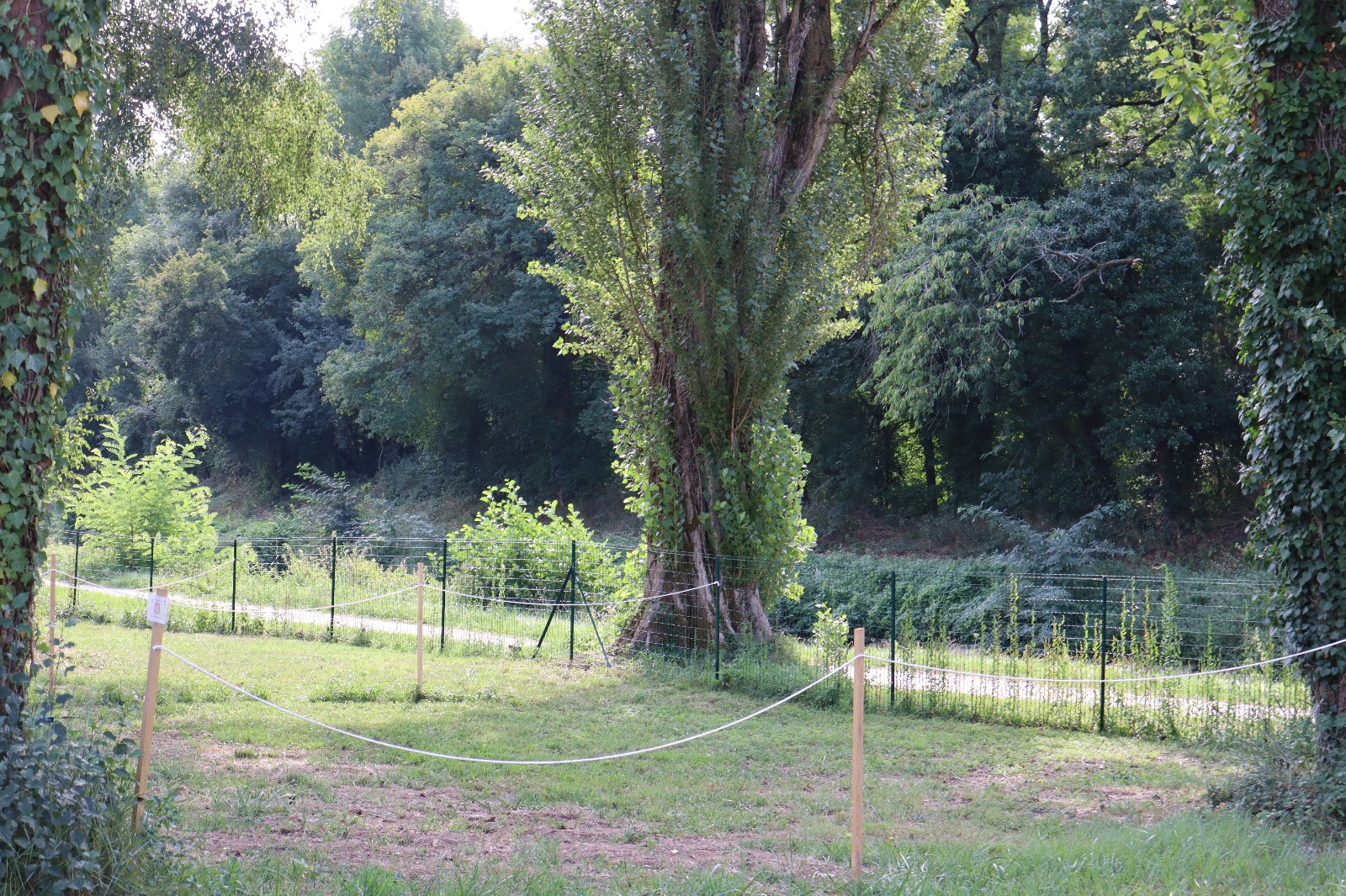 Camping Le Bois des Elfes, Fay-aux-Loges - photo 3